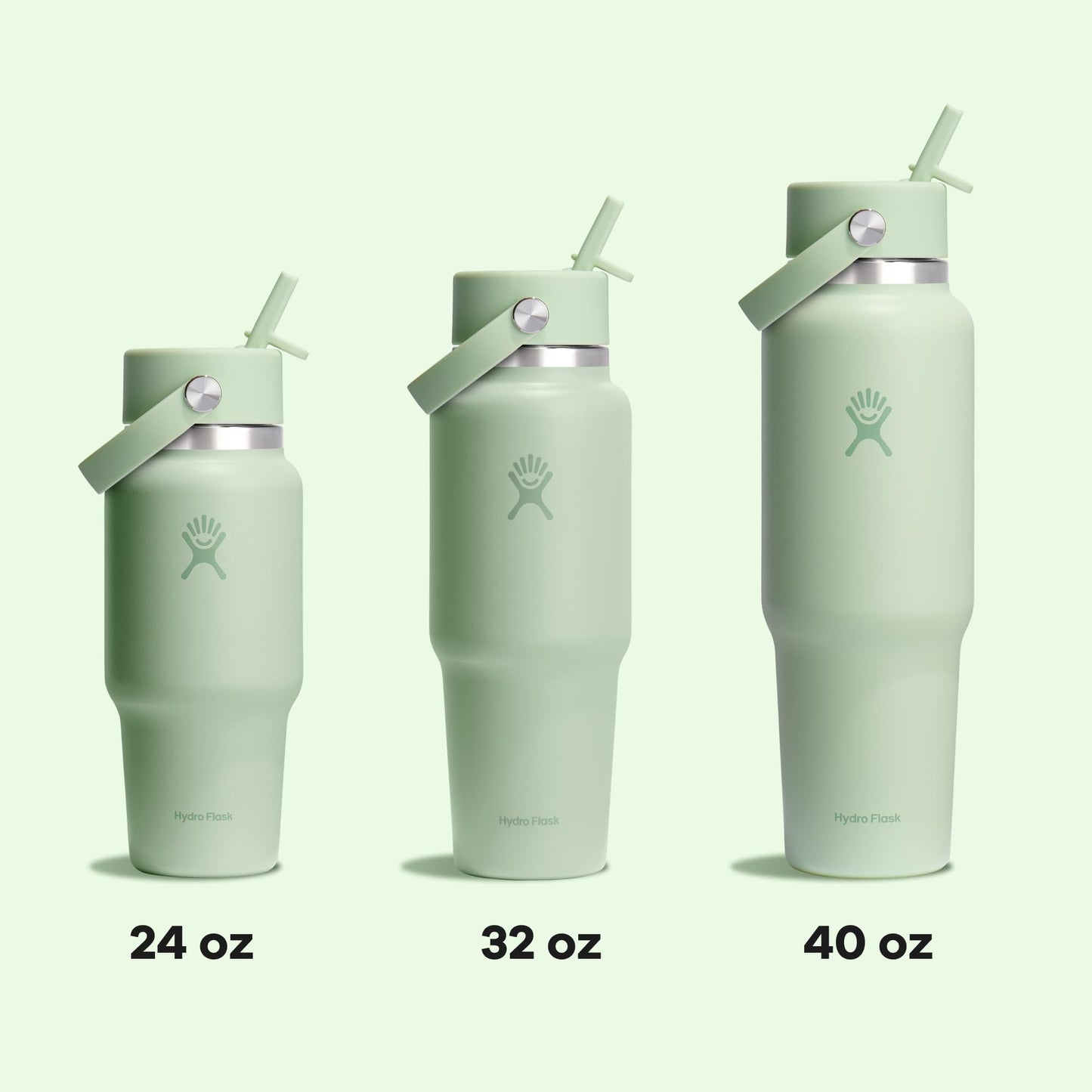 Hydro Flask Travel Water Bottle - Insulated Stainless Steel - Wide Straw Lid, Non Spill, Leakproof in 32 Oz Aloe Green
