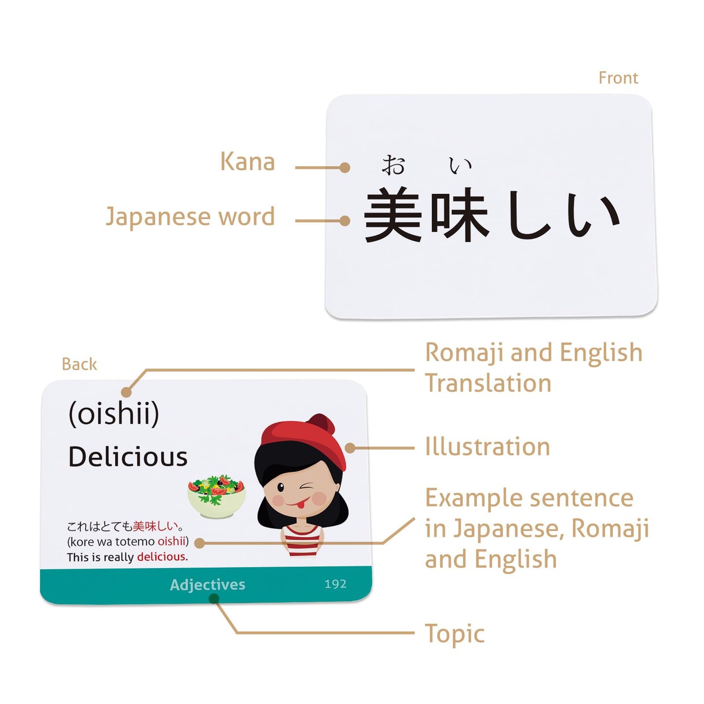 Japanese Vocabulary Flash Cards for Beginners (with Illustrations and Example Sentences), Standard Playing Card Size, Sturdy, Water Resistant