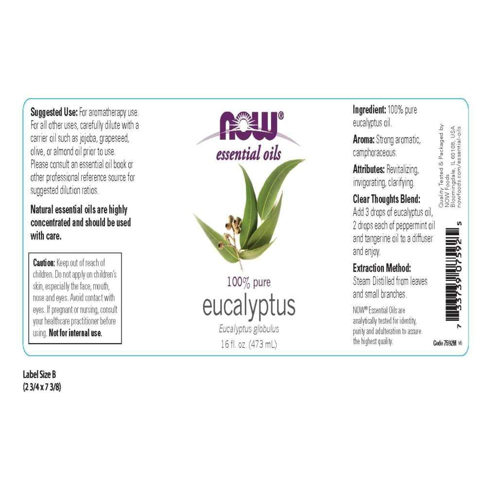 Now Solutions Eucalyptus Essential Oil, 16 Fl Oz (1 Count)