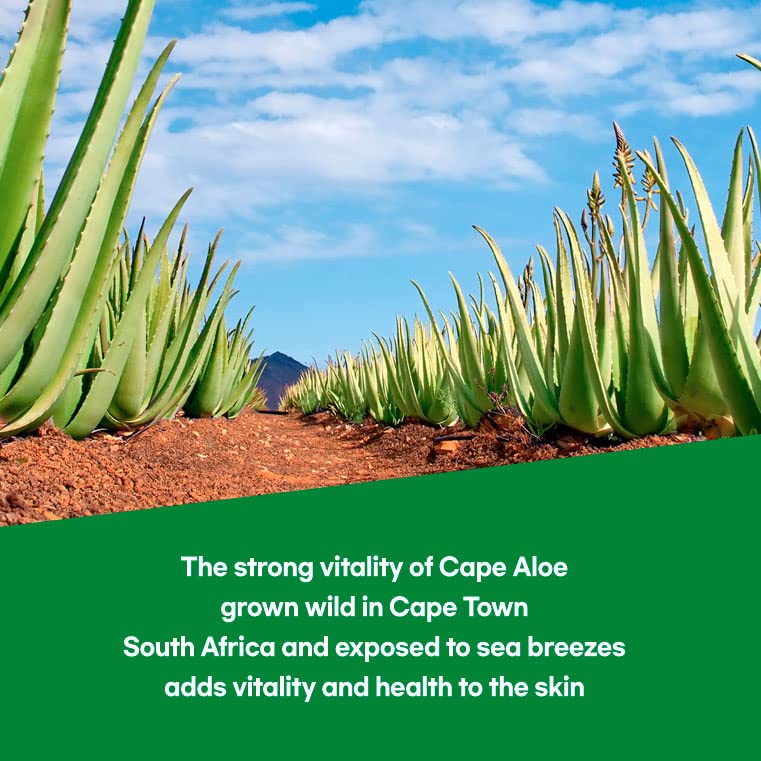 by.H Organic Aloe Vera Soothing Gel-Natural Moisturizer for Skin, Hair, Effective for Sunburns, Razor Burns, Gentle, Non-Greasy, Skincare [Made in Korea] Pouch-3Pack