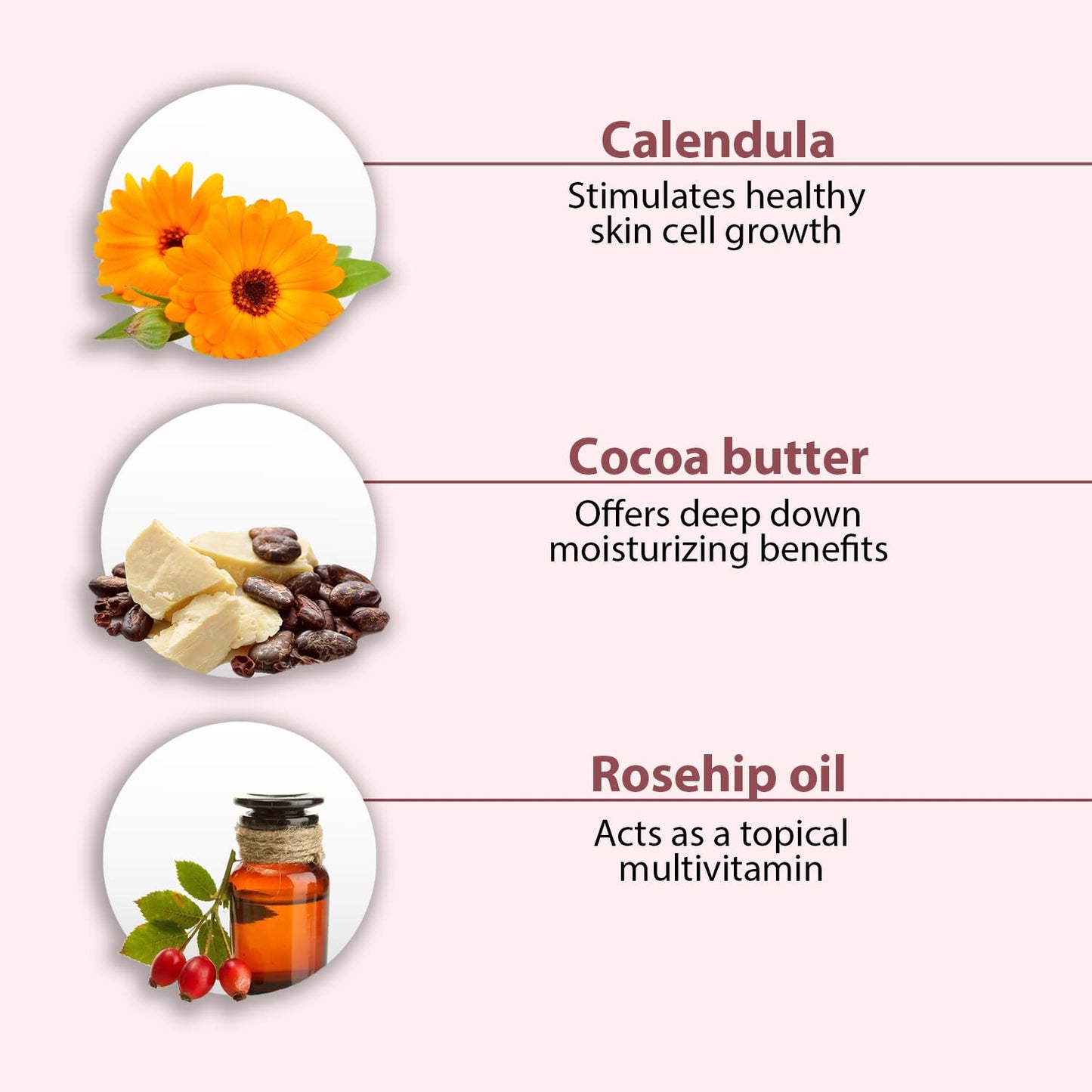 All Good Hand & Body Lotion - Moisturizing Organic Lotion for Dry Skin - Jasmine Oil, Cocoa Butter, Rosehip Oil, Arnica, Vitamin E - Non-Greasy Body Butter, 6 fl oz (3-pack, Jasmine Rose)