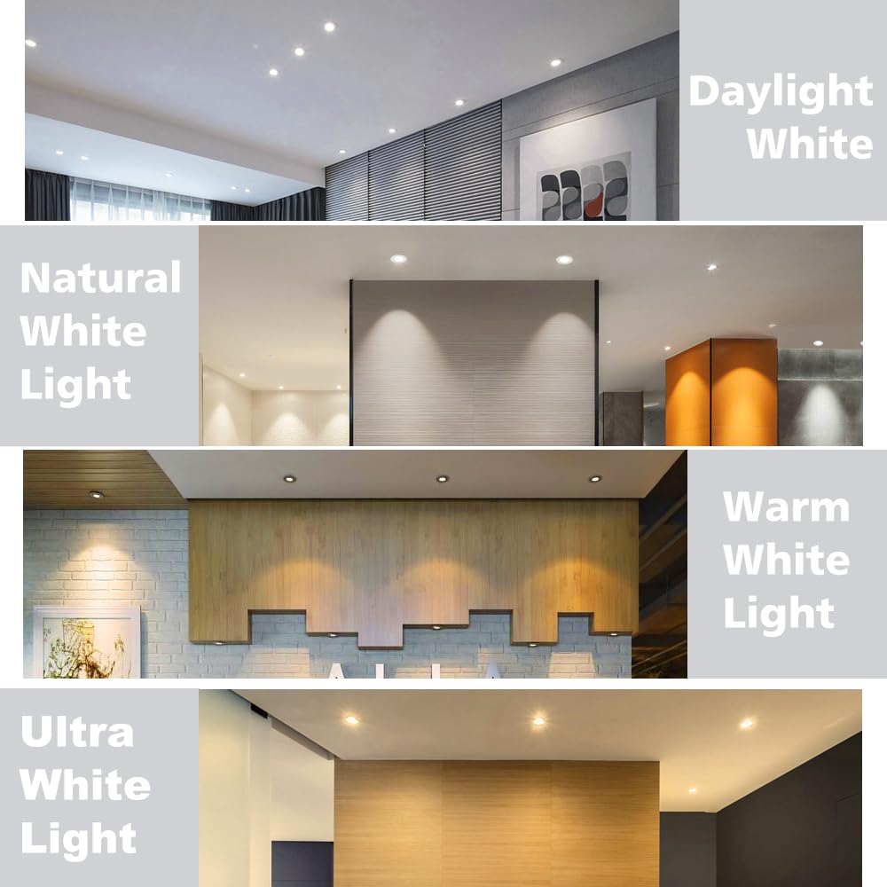 2 Inch LED Downlight, Recessed Lighting Dimmable Ceiling Light, 3W, 5500K Daylight White, CRI80 with LED Driver(35W Halogen Equivalent), 20 Pack