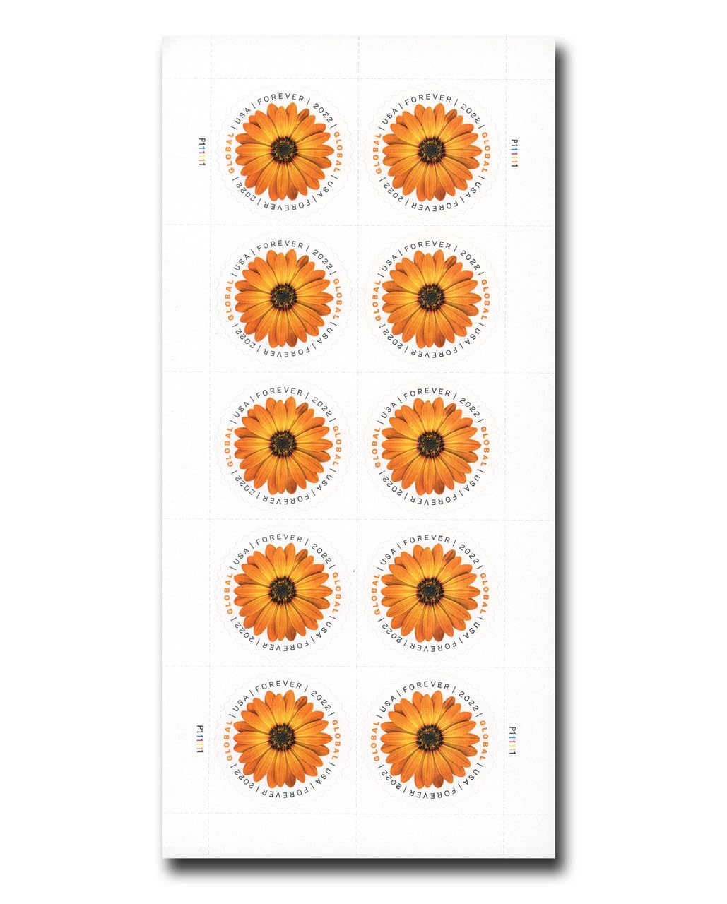 2022 Global Forever International Mail African Daisy Postage Stamps (1 Sheet, 10 Stamps)
