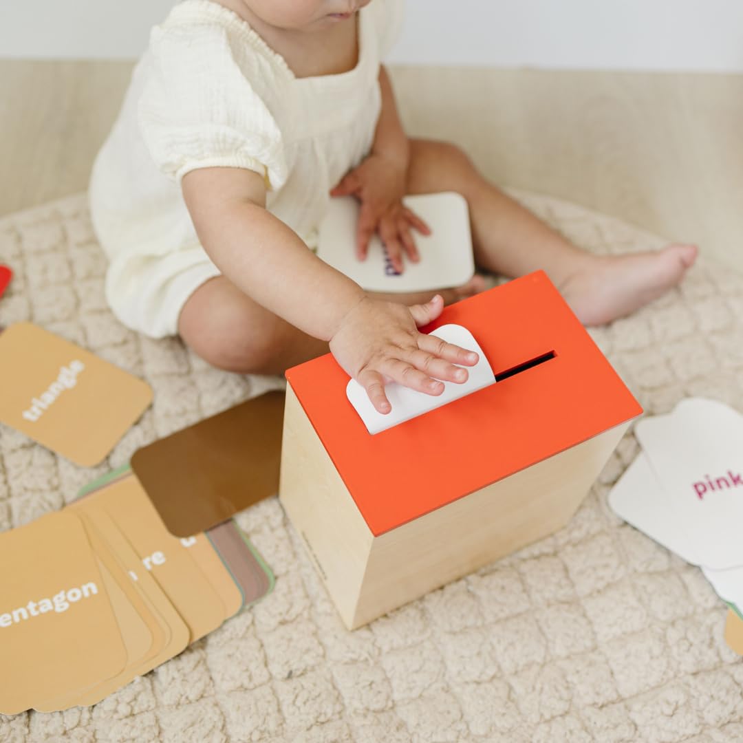 Solobo Learn & Drop Toddler Toy, Montessori Learning Games, 50 Preschool Flashcards for Toddlers 1-3, Learning Resources, Toddler Toys 2-3, Sight Word Flash Cards, Kindergarten Classroom Must Haves