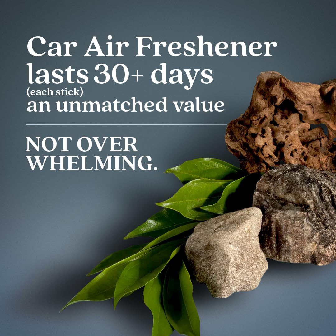Enviroscent Non-Toxic Car Air Freshener | Natural Car Air Freshener | Essential Oil Diffuser | Car Scent Lasting Over 480 Days | 8 Packs of 2 Hanging Auto Stix (Coastal Storm & Teakwood)