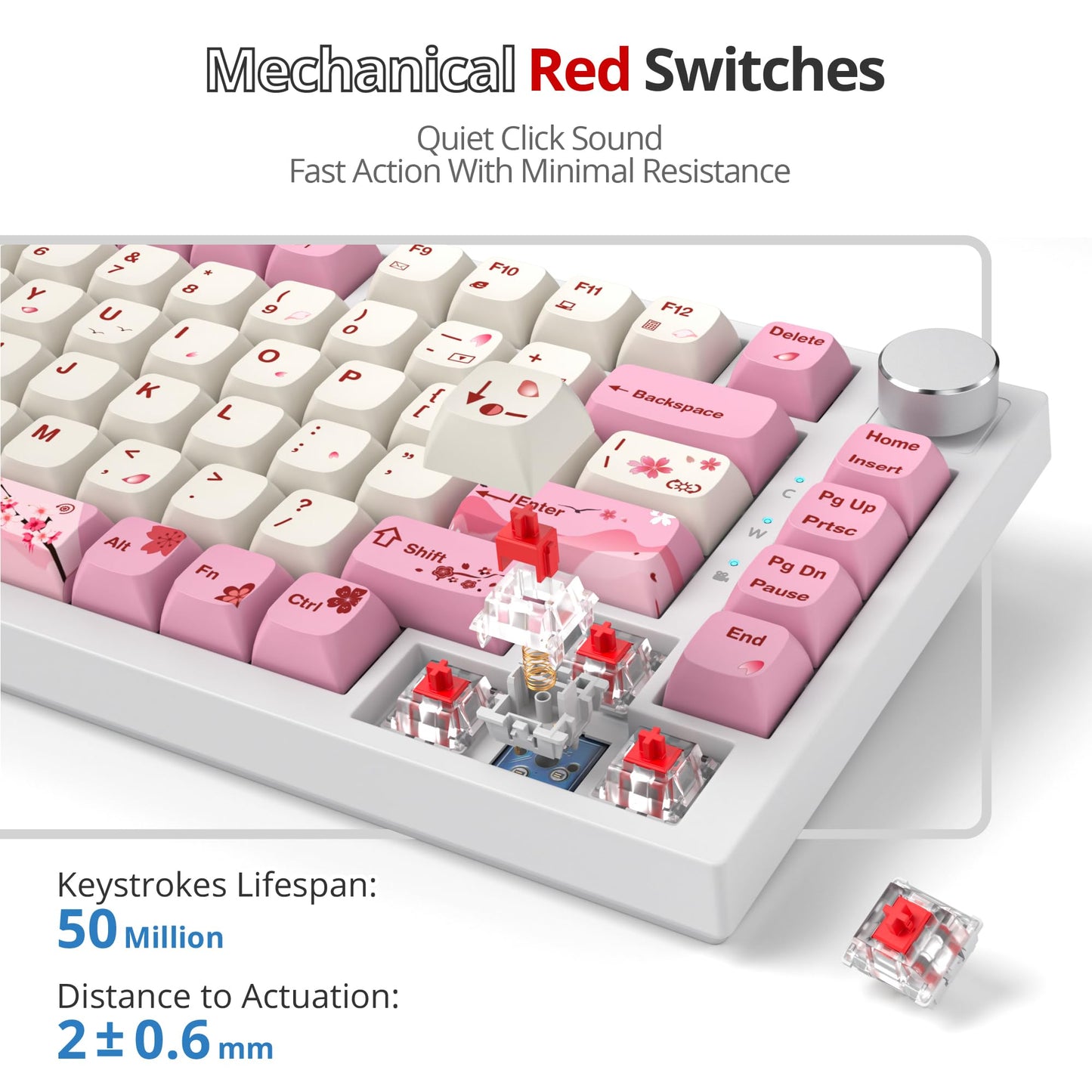 SbocKeeb 75 Percent Pink Keyboard Gasket-Mounted with Sound Absorbing Pads, 82-Key Compact Wired RGB Mechanical Gaming Keyboard Hot-Swap Socket for Win, Ying