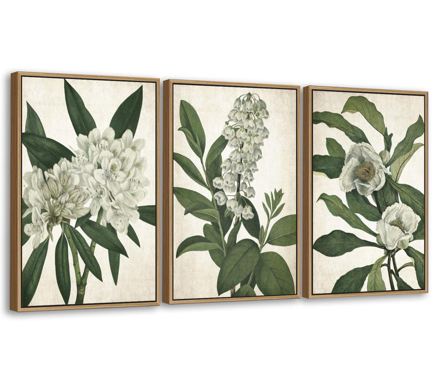 Large Framed Canvas Wall Art - Natural Float Framed White Flowers Green Leaves Pictures Decor Simple Botanical Plants Artwork for Living Room Bedroom Kitchen Home Office Decoration 48" X 24" Set of 3