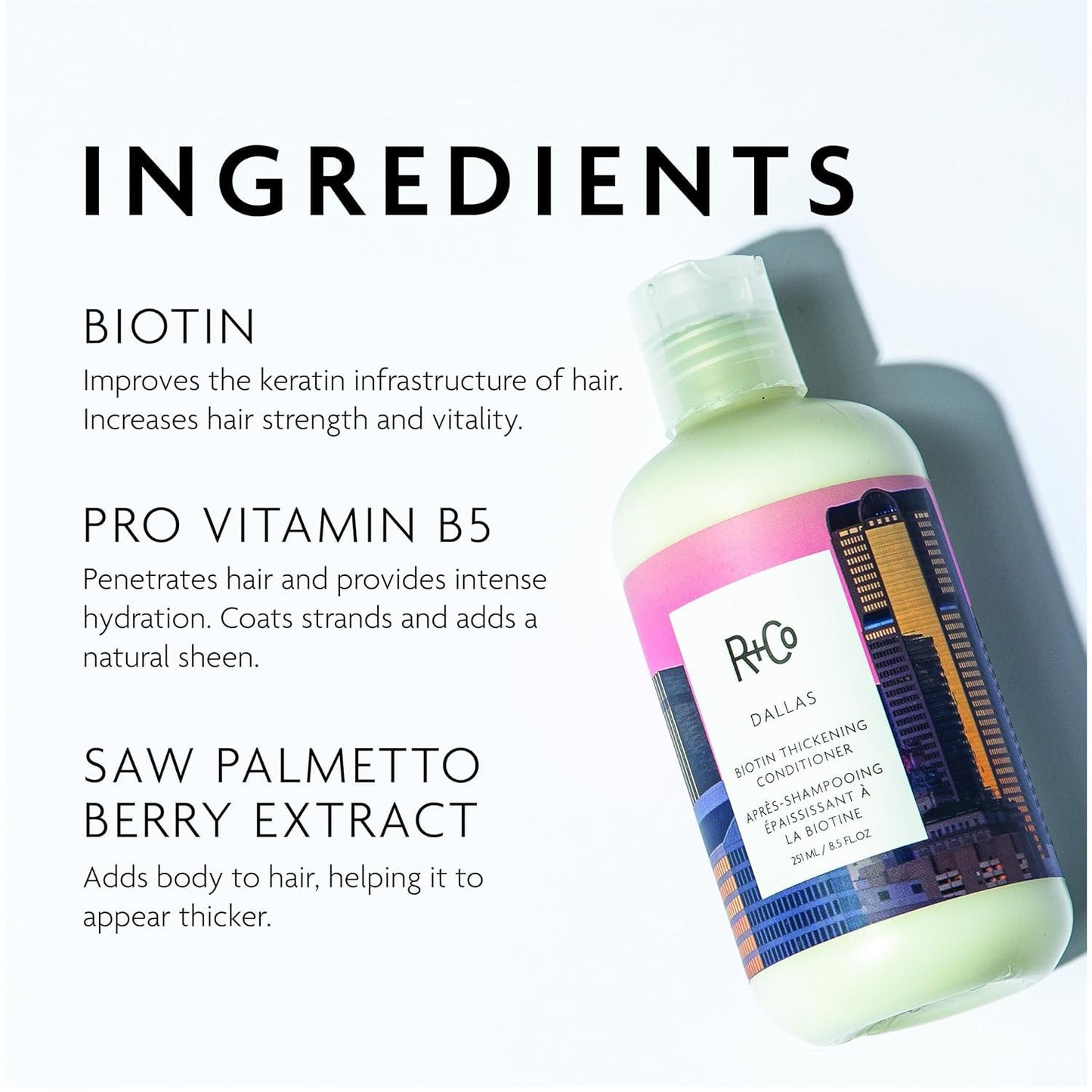 R+Co Dallas Biotin Hair Shampoo and Conditioner Set (8.5 Oz) + R+Co Bonus Deluxe Sample (.5 Oz) | Body + Shine + Smoothing for All Hair Types | Vegan + Cruelty-Free |