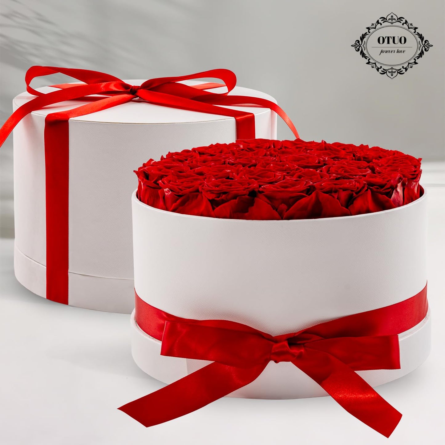 Otuo 27 Piece Preserved Roses in a Box - Forever Flowers for Delivery Prime, Eternal Roses Mothers Gifts for Mom, Valentine's Day, Wife Anniversary Birthday Gifts for Women(Red)