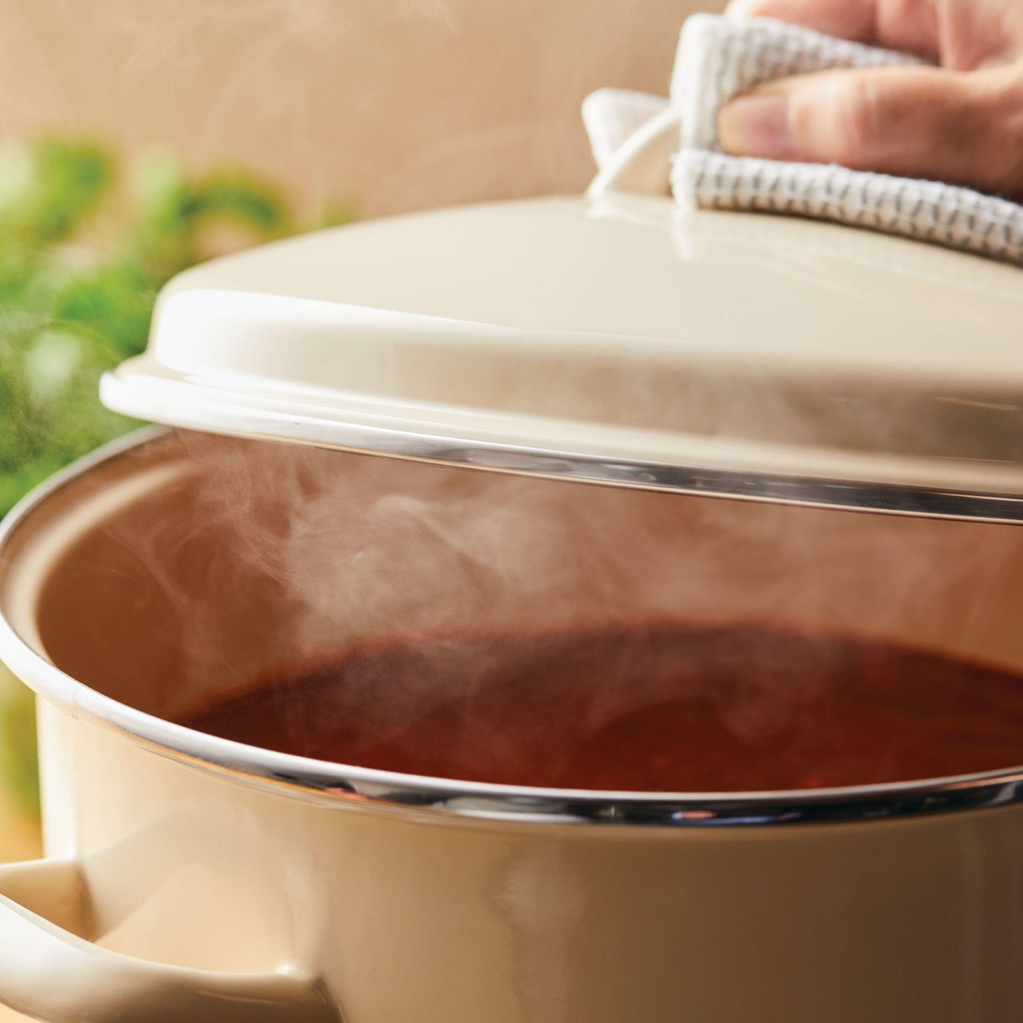 Rachael Ray Enamel-on-Steel Induction Stockpot with Lid, 12-Quart, Almond