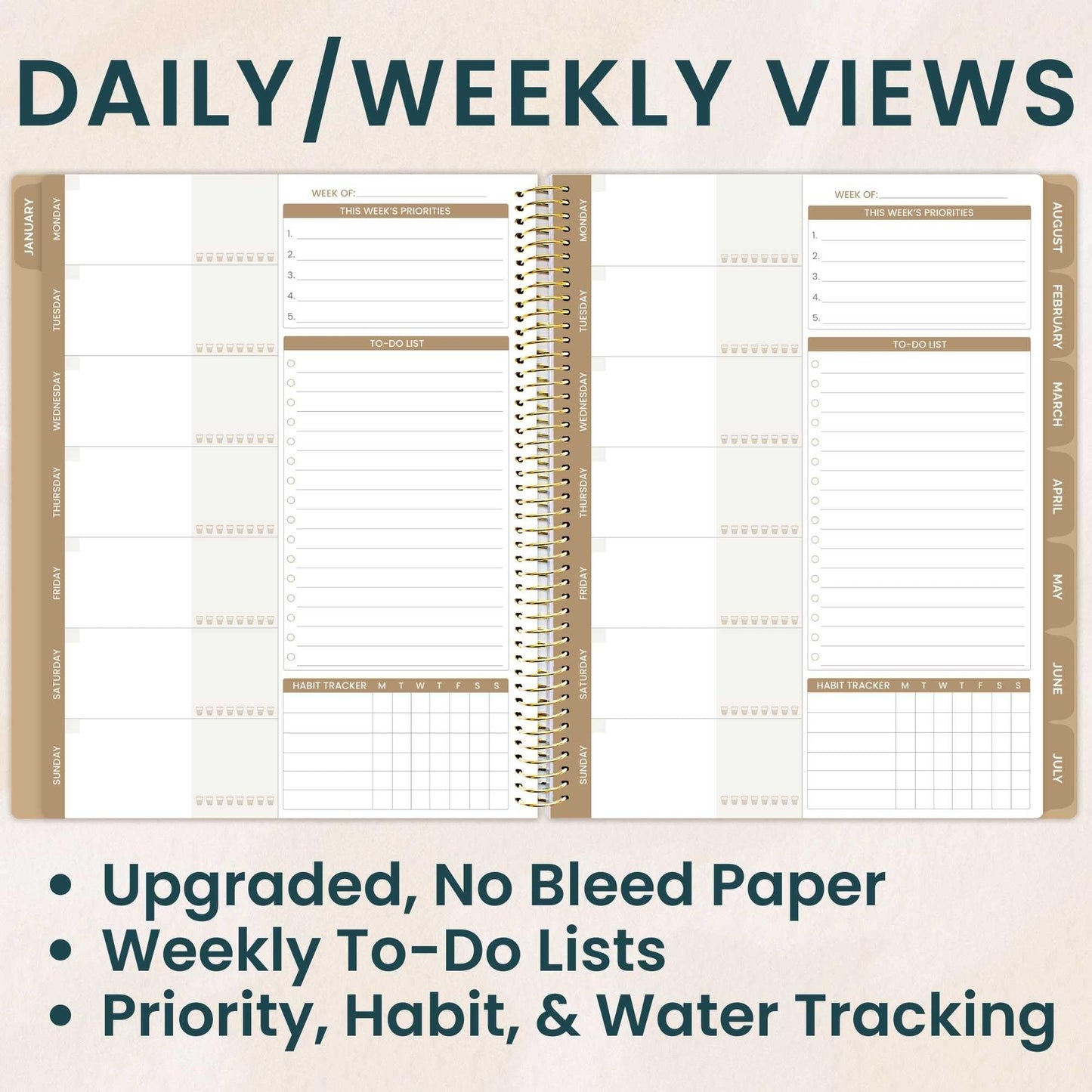 bloom daily planners All in One Ultimate Monthly & Weekly Undated Calendar Planner V2, Notebook, Sketch Book, Grid Pages, Coloring Book and More! 9" x 11" - Interchangeable Cover