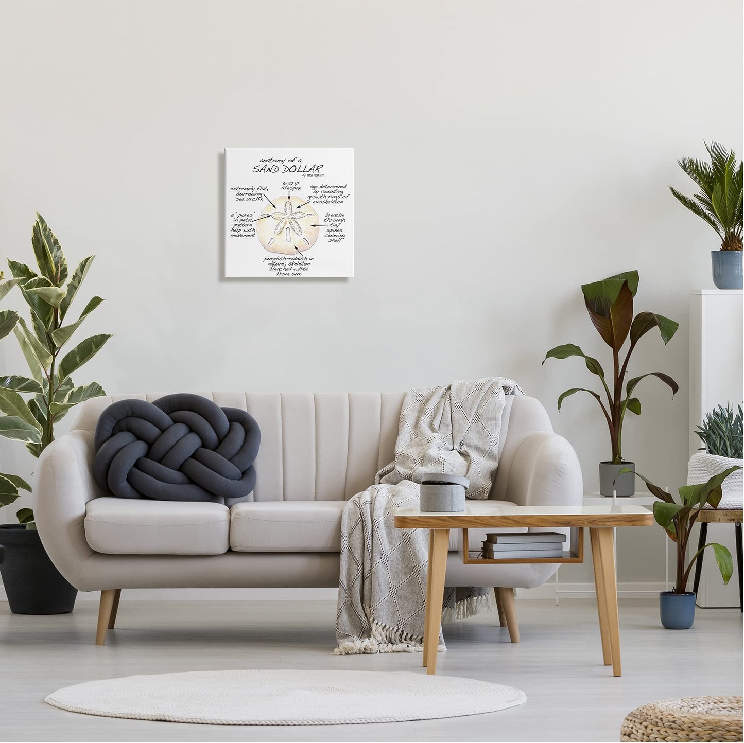 Stupell Industries Informative Sand Dollar Learning Chart Nautical Education, Design by Dishique