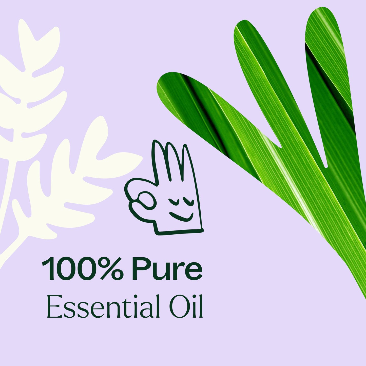 Plant Therapy Anti Age Essential Oil Blend 10 mL (1/3 oz) 100% Pure, Undiluted, Therapeutic Grade