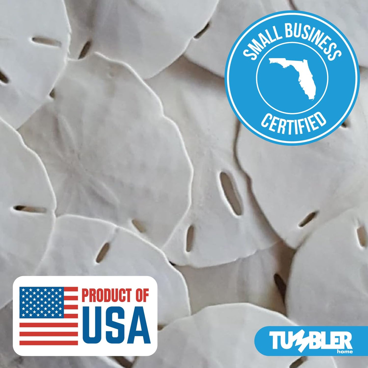 Tumbler Home White Sand Dollars 2" to 2.25" Set of 24 - Wedding Seashell Craft Sand Dollars- Hand Picked and Professionally Packed