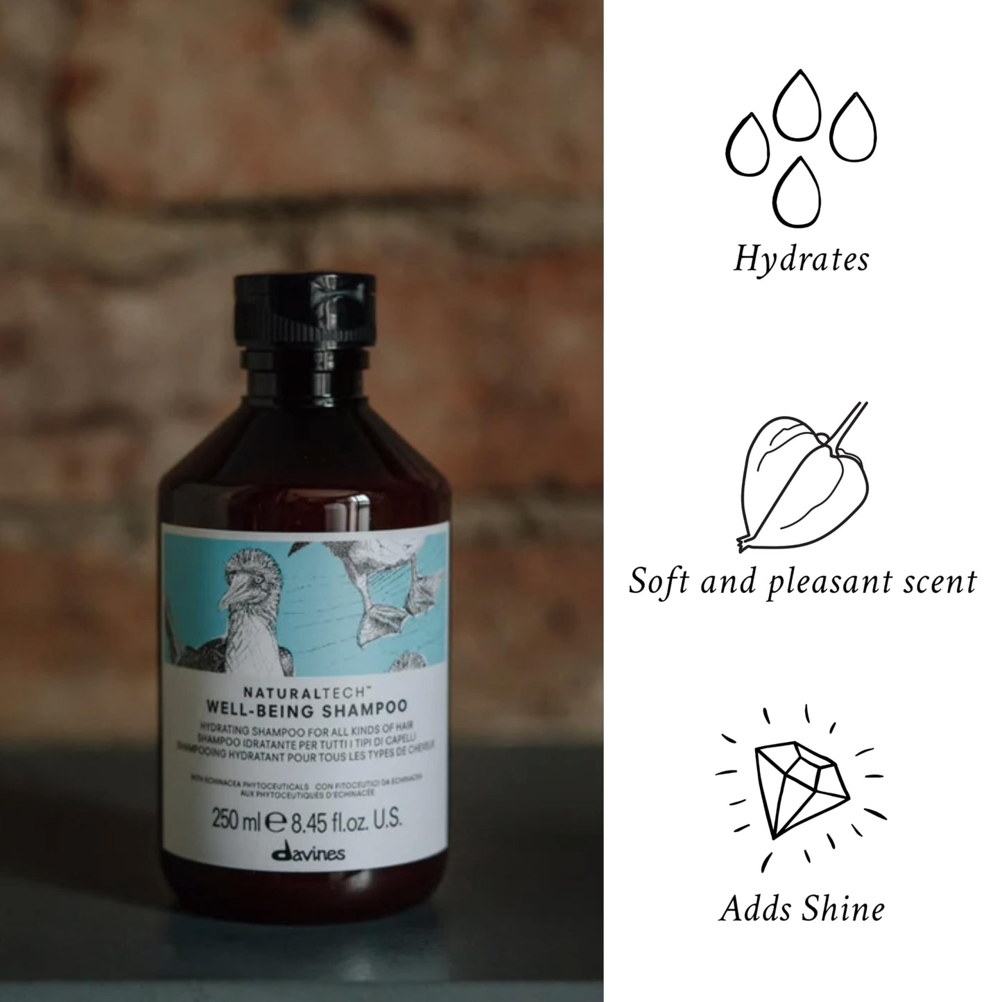 Davines Naturaltech WELLBEING Shampoo, Light And Gentle Cleansing To Moisturize, Protect and Enrich Without Changing Hair's Structure, 8.45 fl. oz.