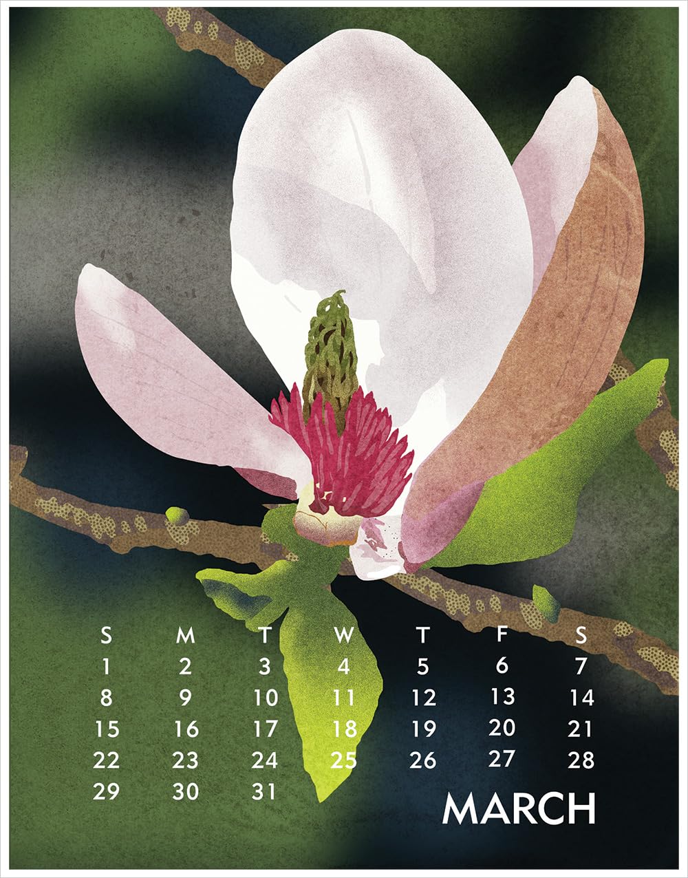Linnea Design 2026 Poster Calendar 11 x 14" Artwork by Johanna Riley