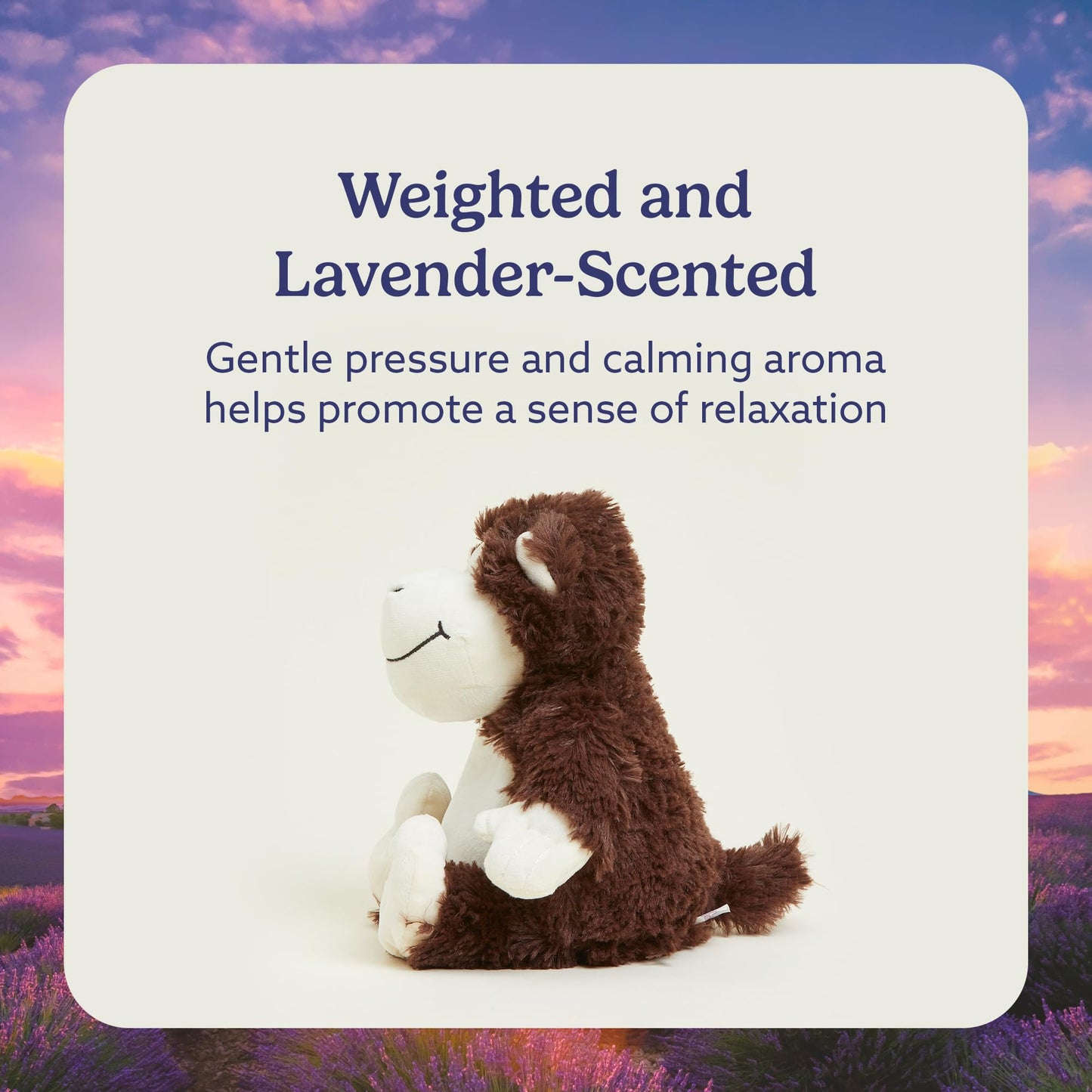 Intelex, Warmies Cozy Therapy Plush - Monkey