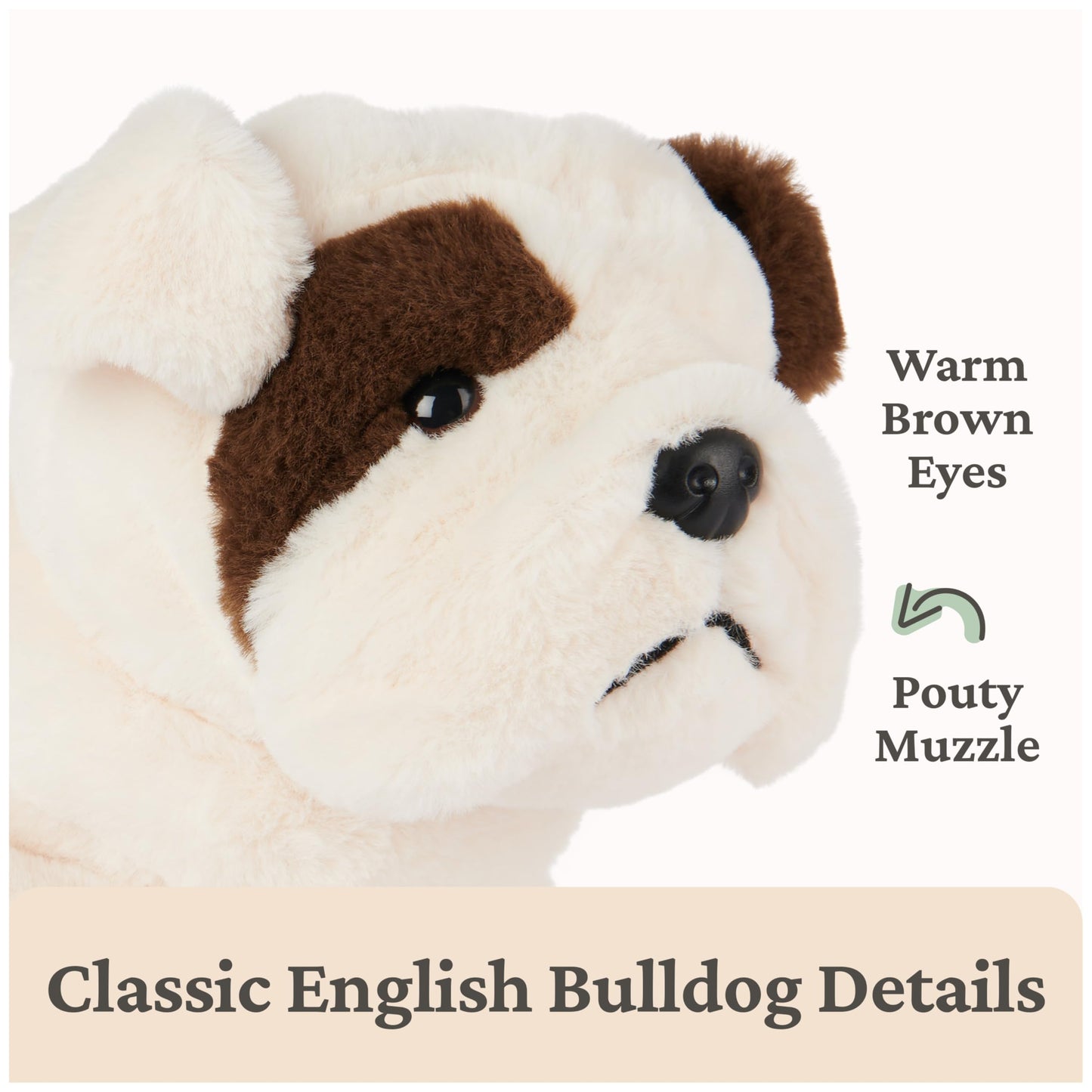 GUND Toast Bulldog Puppy Plush, Stuffed Animal Dog for Ages 1 and Up, 10”, Brown/White