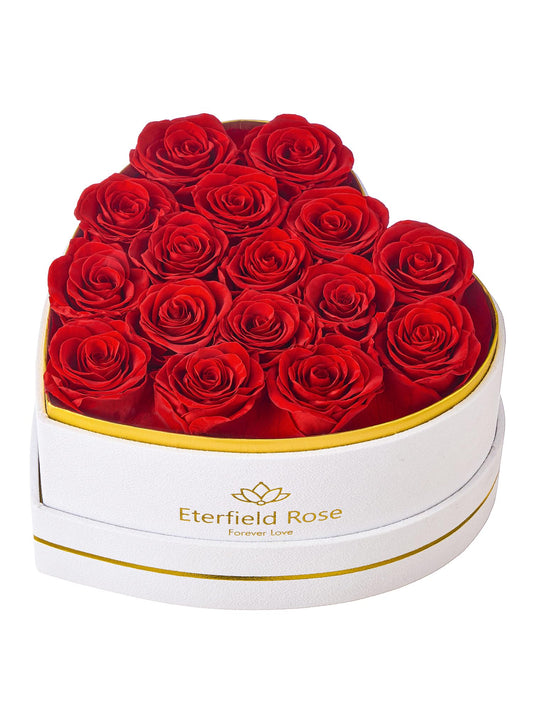 Eterfield 16 Forever Flowers in Heart Shape Box, Preserved Roses That Last a Year Preserved Flowers Birthday Gifts for Her Mom Women Wife Anniversary Valentines Day Mothers Day Christmas, Red