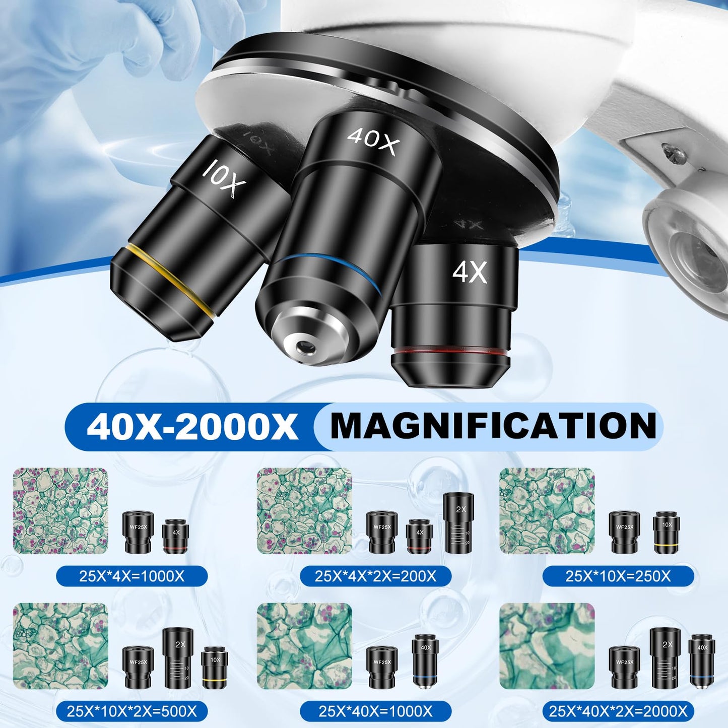 Microscope for Adults and Kids, Science School Laboratory Home Education Biology, 40-2000X High Definition,Easy to Operate,with Phone Holder 10 Specimen Slides 100 Coverslips and Bag for Student
