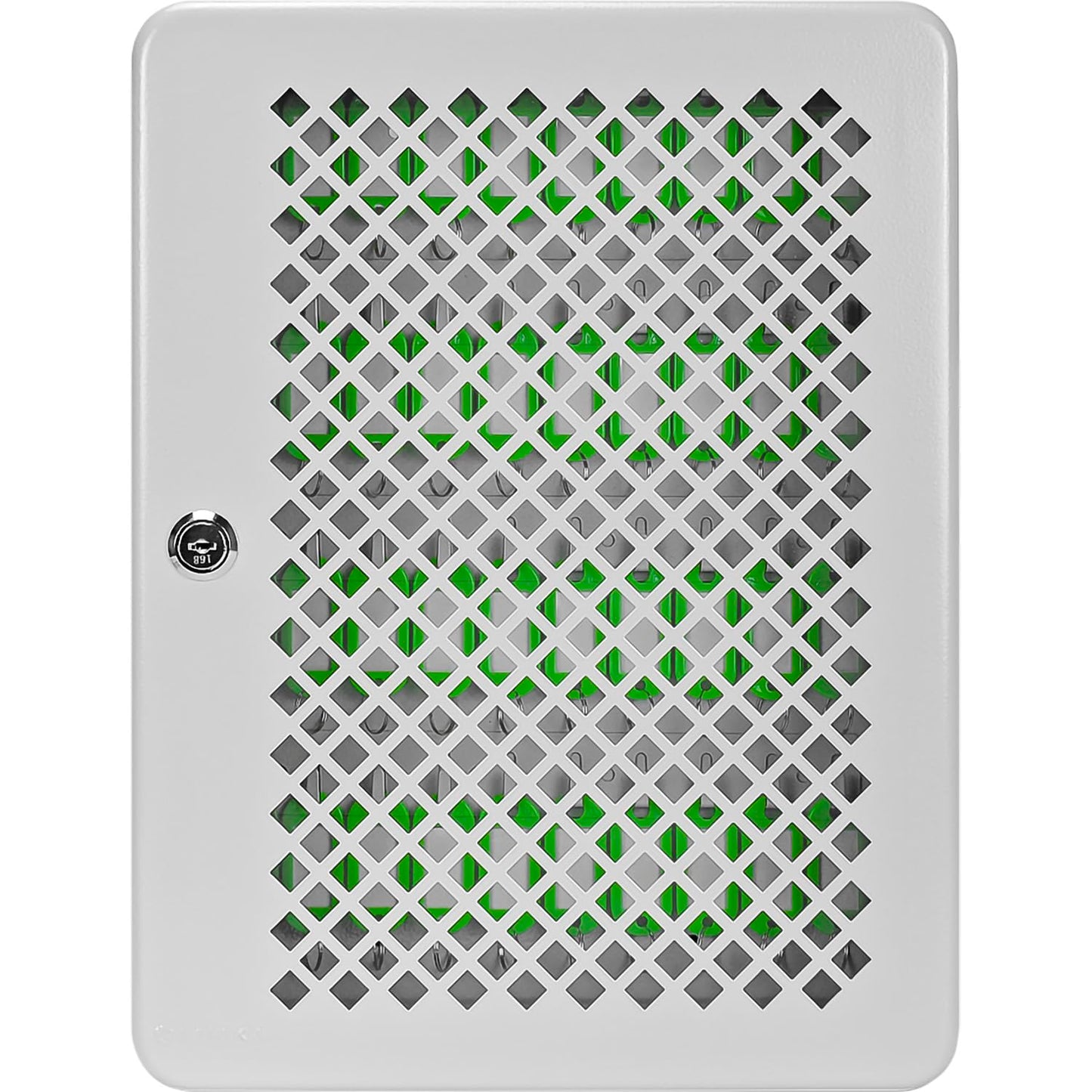 Barska Box with Numbered Hooks Lock Cabinet with Green Tags, 40 Keys, Grey