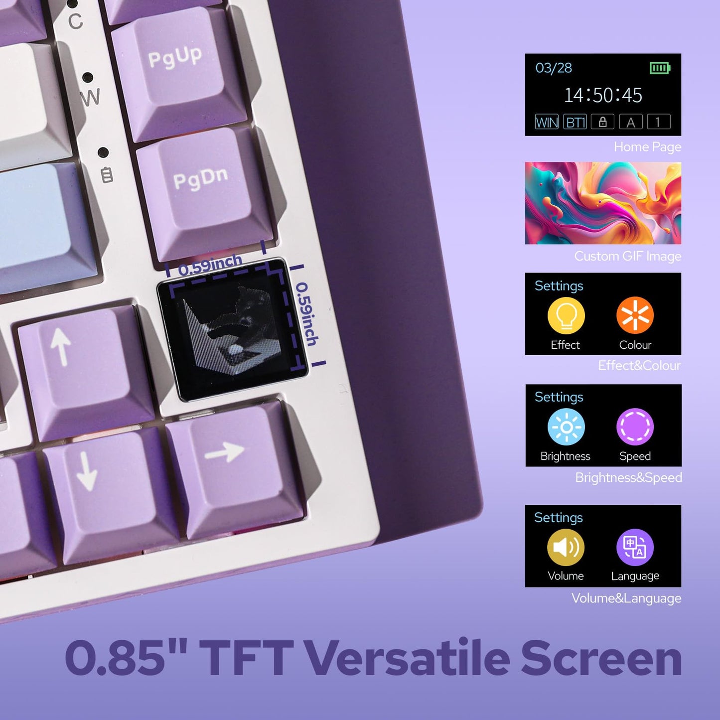 EPOMAKER Ajazz AK820 Pro 75% Mechanical Keyboard, Gasket-Mounted Gaming Keyboard with TFT Smart Display&Knob, Bluetooth 5.1/2.4G Wireless/Type-C Wired Custom Keyboard (Purple, Gift Switch)
