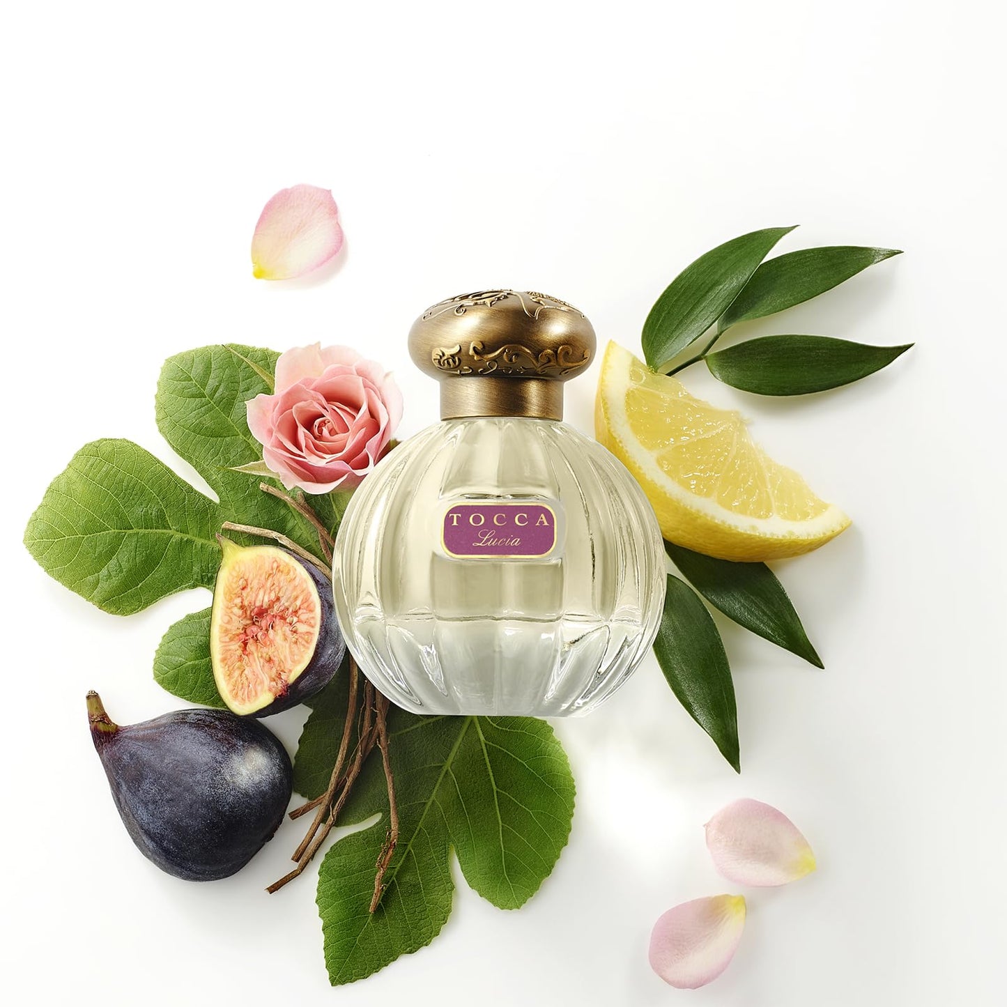 Tocca Lucia Women's Perfume, 1.7 oz. (50 ml) - Fresh Floral Fragrance Featuring Italian Lemon, Fig and Vetiver
