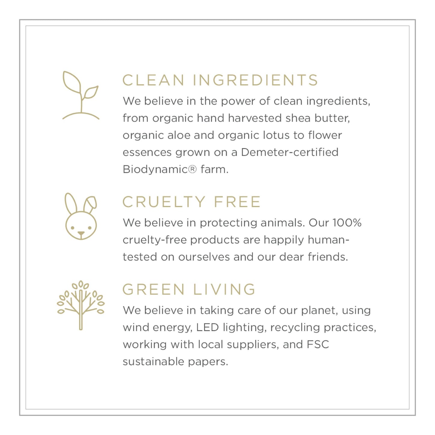 Zents Hand & Body Wash (Earth Fragrance) | Hydrating Anti-Aging Cleanser with Organic Shea Butter & Aloe for Dry Skin | Gentle & Nourishing | 10 fl oz