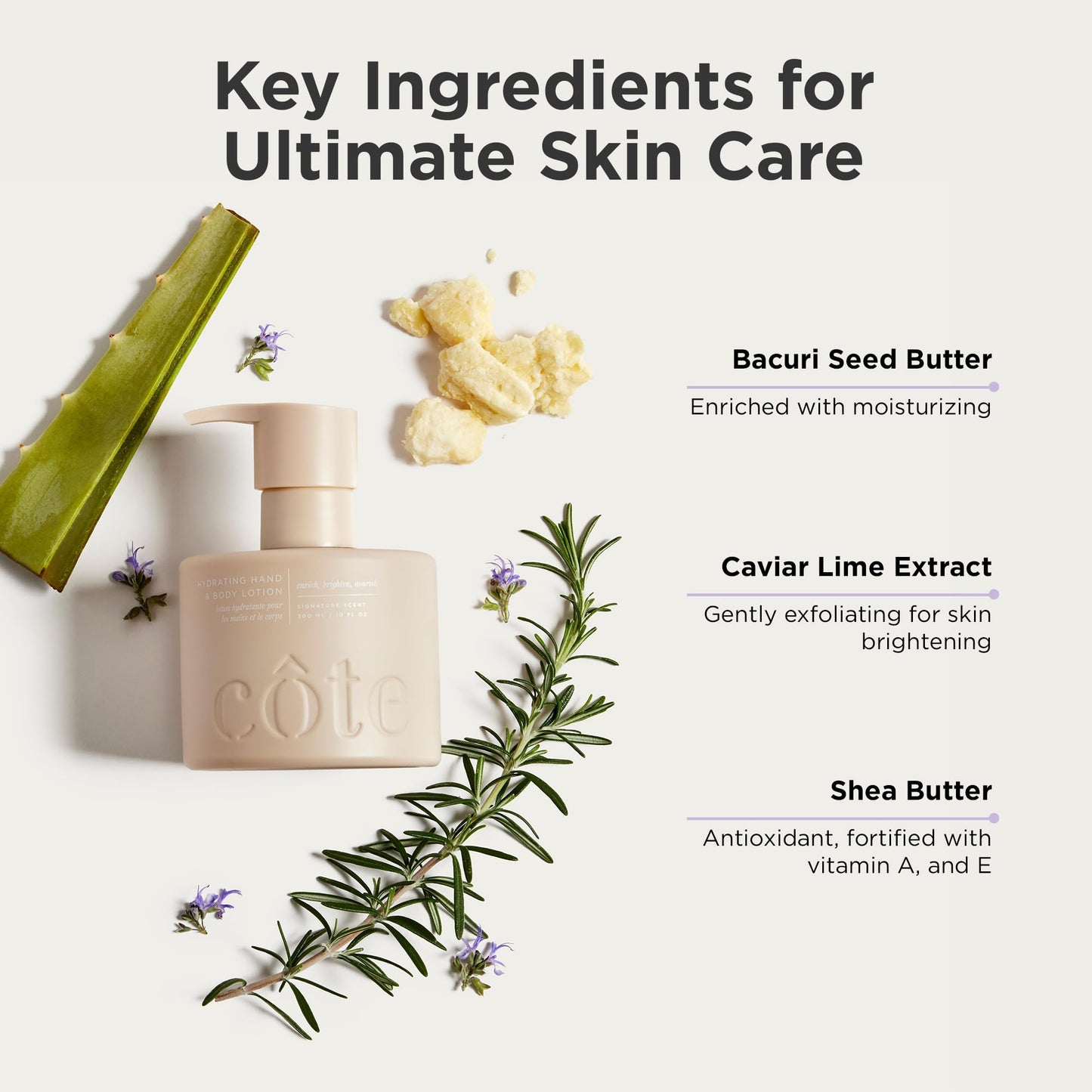 Côte Hydrating Hand & Body Lotion | Moisturizing with Shea Butter