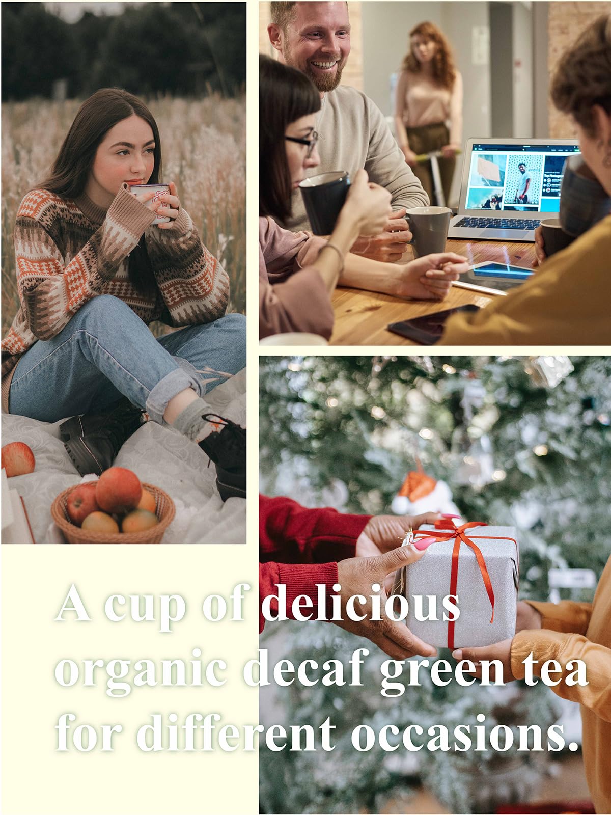 GLDNT Organic Decaf Green Tea, Organic Decaffeinated Green Tea Loose leaf, Delicate & Smooth Flavor, Hot & Iced Tea, 16 Ounce