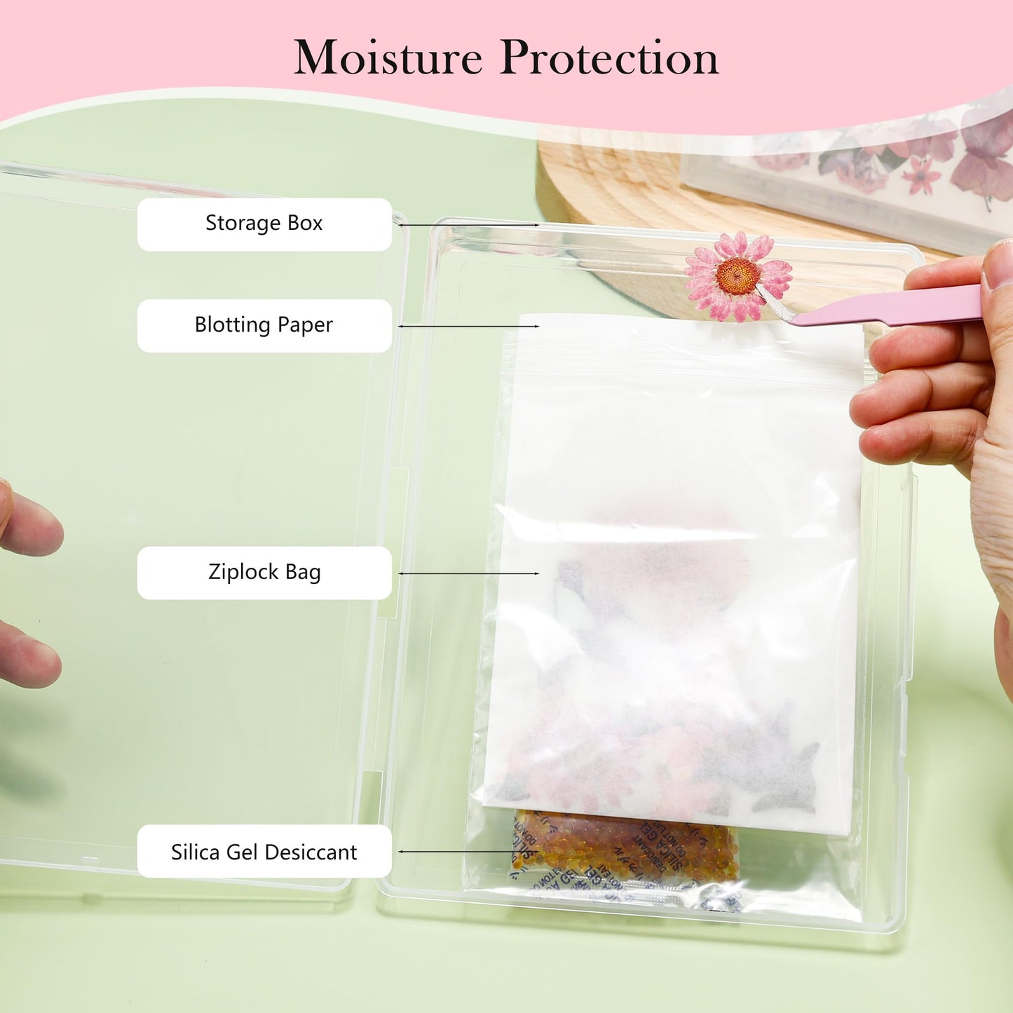 Aboofx 6 PCS Dried Flower Storage Set with Blotting Paper, Ziplock Bag and Desiccant, Flower Preservation Kit - Good Seal, High Capacity to Keep Flower Color and Dry