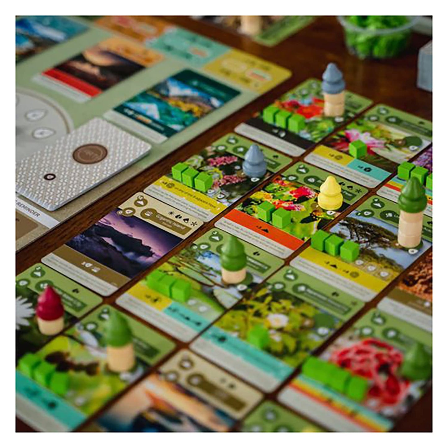 Inside Up Games Earth | Board Game of The Year 2023 | Ecosystem Building, Card Drafting, Action Selection | Create Amazing Natural Synergies | 1 to 6 Players | 45 to 90 Minute | Age 13+
