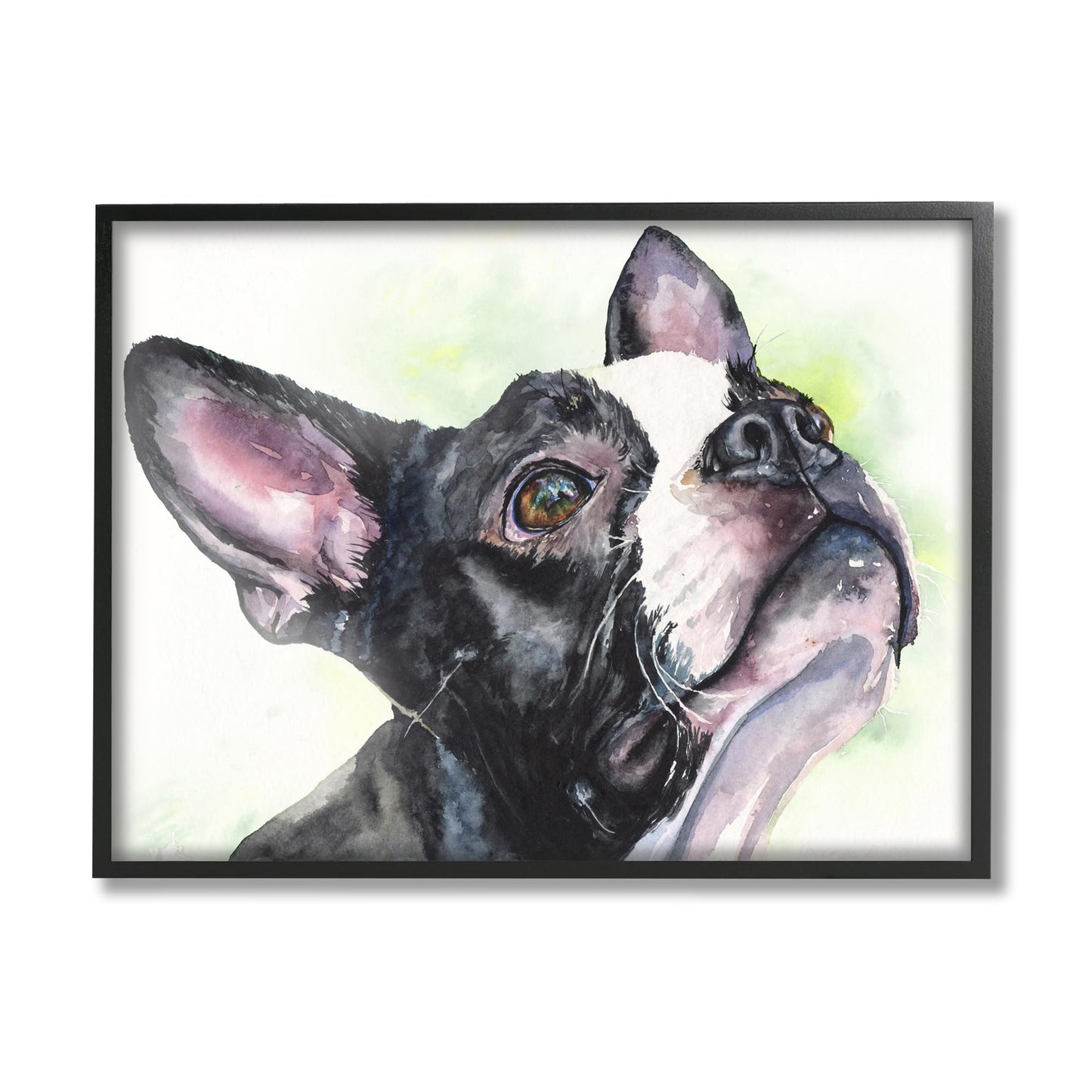 Stupell Industries Boston Terrier Dog Pet Animal Watercolor Painting Prints, 11 x 14, Multi-Color