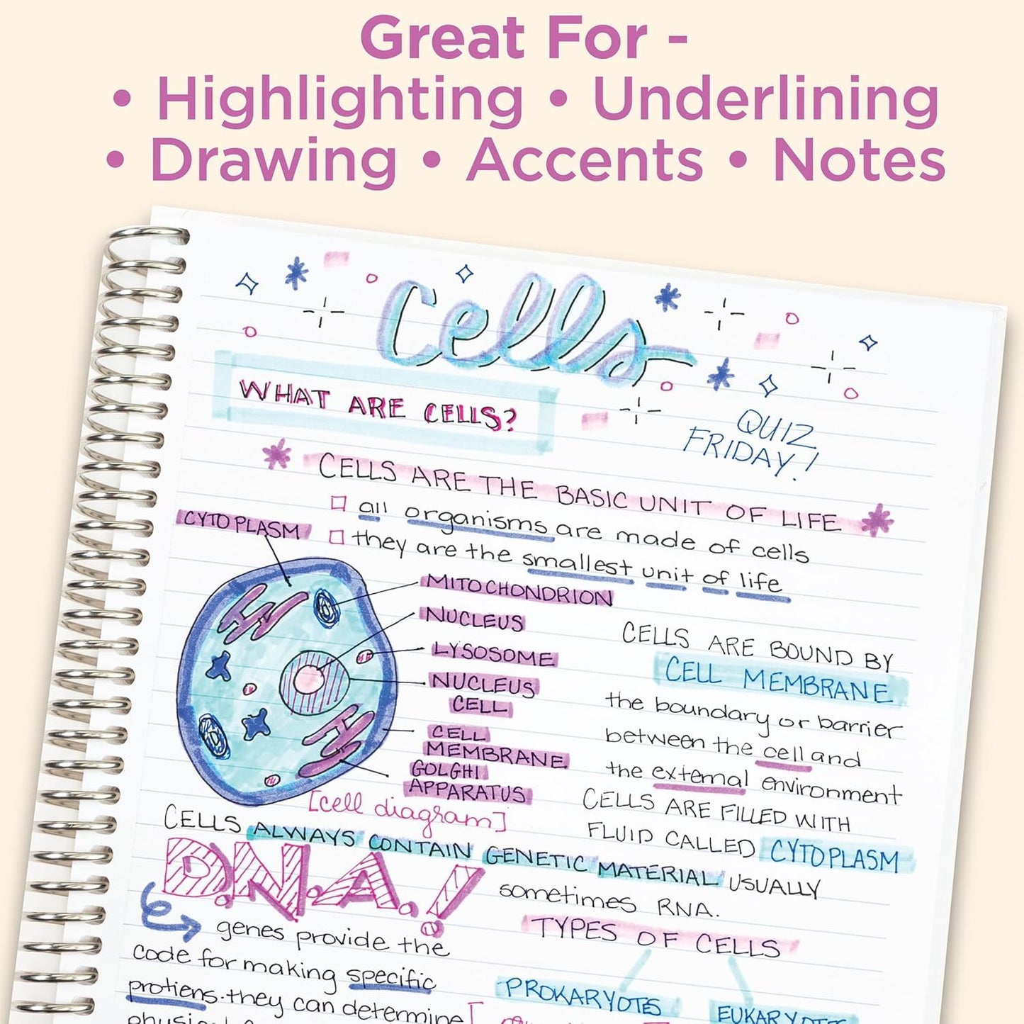Zebra Pen Mildliner Dual-Tip Highlighter Set, Broad and Fine Tips, No Bleed, Ideal for Bible Highlighting, Journaling, School and Office Supplies, Assorted Ink in Carrying Case, 25-Pack (78025)