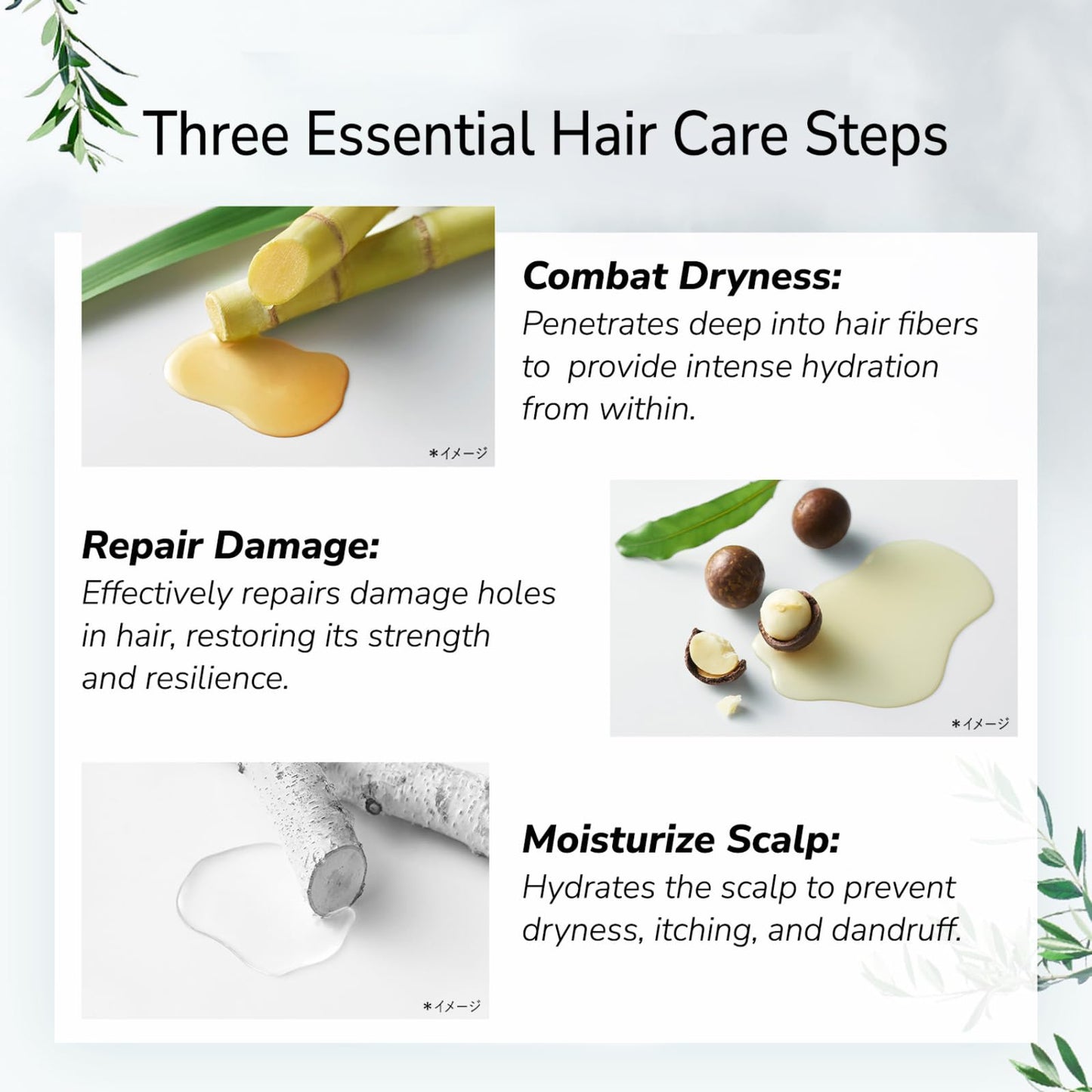 Botanist Organic Shampoo for Dry Frizzy Hair, Anti Frizz Shampoo with Macadamia Nut & Argan Oil for Women & Men & Kids, Silicone & Paraben Free, From Japan, SMOOTH, Green Apple & Rose,15.5 Fl Oz, 3EA