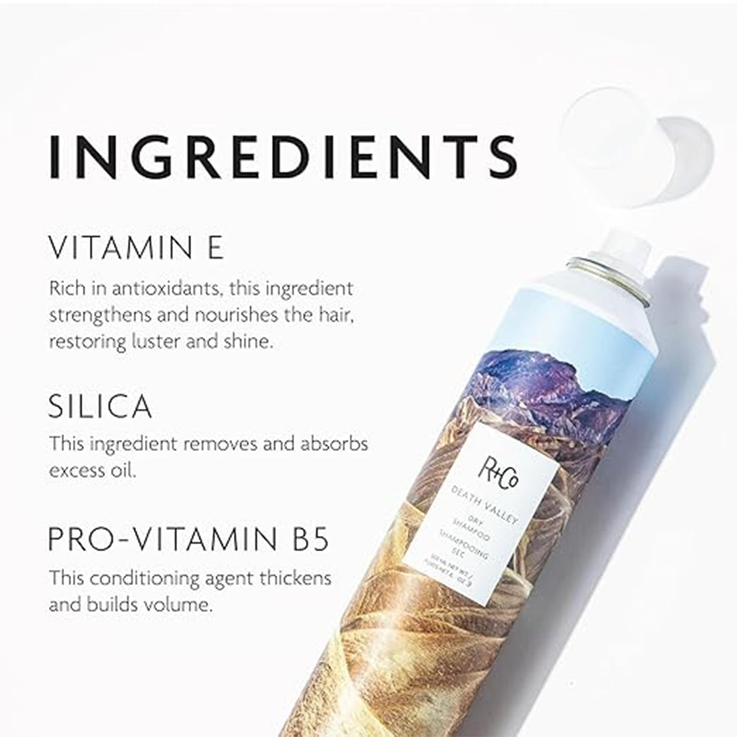 R+Co Death Valley Dry Shampoo For Women