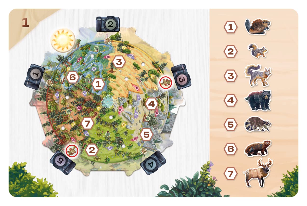 Sit Down Games Redwood | A Strategy Board Game for 1-4 Players Take Pictures of Wild Animals to Compose The Most Beautiful Panorama| Ages 8+