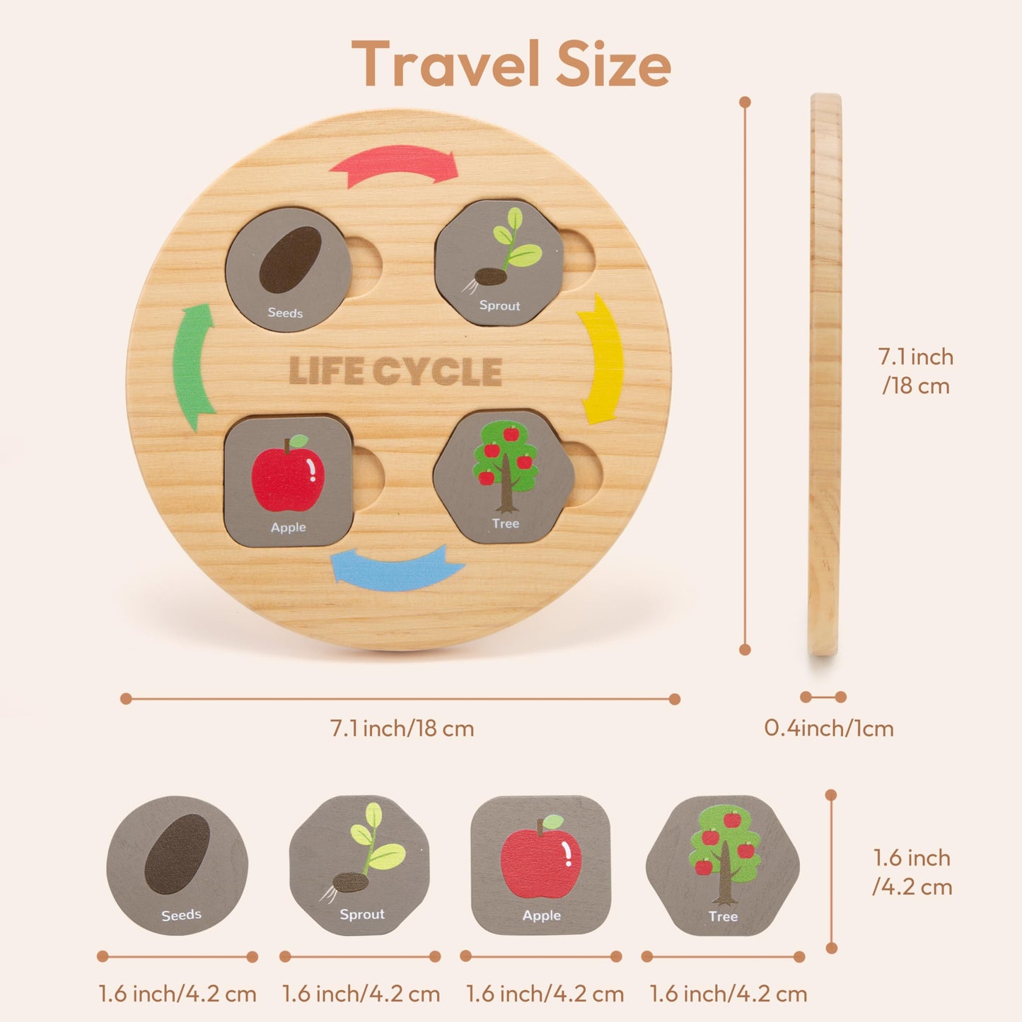 Woodtoe Life Cycle Toys for Kids, 12 Themes Montessori Preschool Science Center Materials, Wooden STEM Educational Toys for Toddlers, Learning Game Travel Gift for Boys Girls Age 3-6