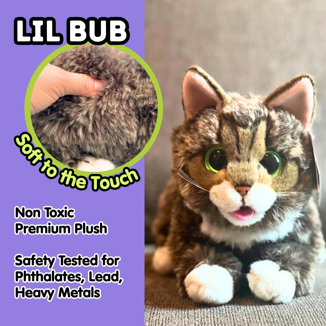 Cuddle Barn Lil Bub Adorable Kitten Cat Plush Toy, CB8240