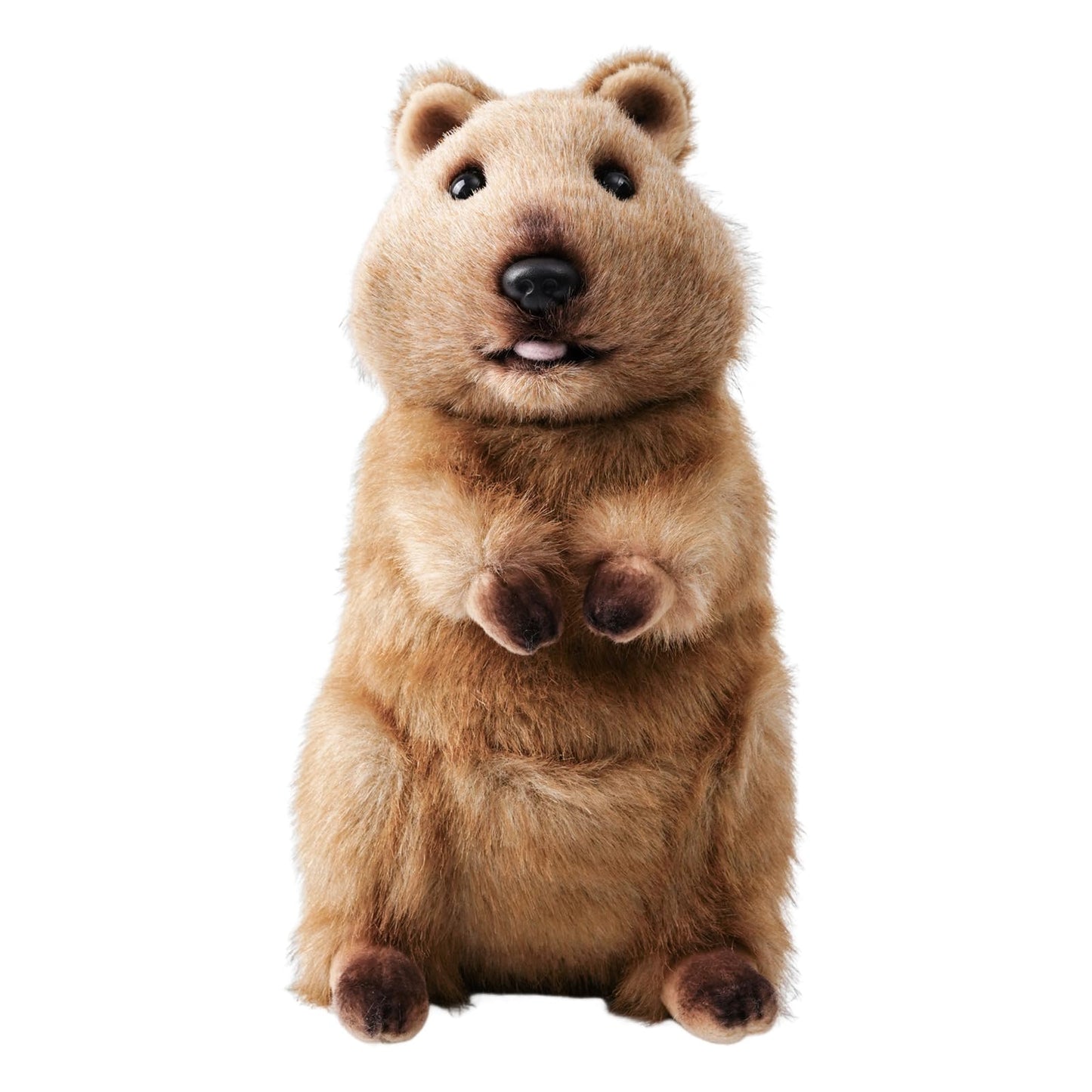 keaiart-ly Cute Quokka Stuffed Animal Plush Toy, Australia Animal Plushie, Cuddly Quokka Doll-10 inchesF