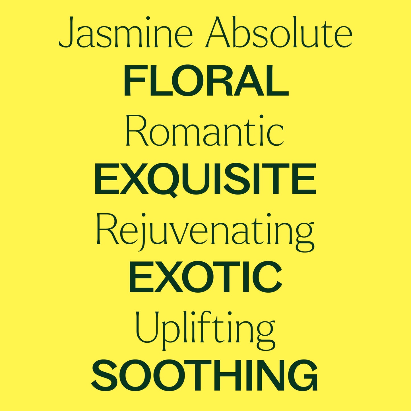 Plant Therapy Jasmine Absolute Essential Oil 100% Pure, Undiluted, Natural Aromatherapy, Therapeutic Grade 2.5 mL (1/12 oz)