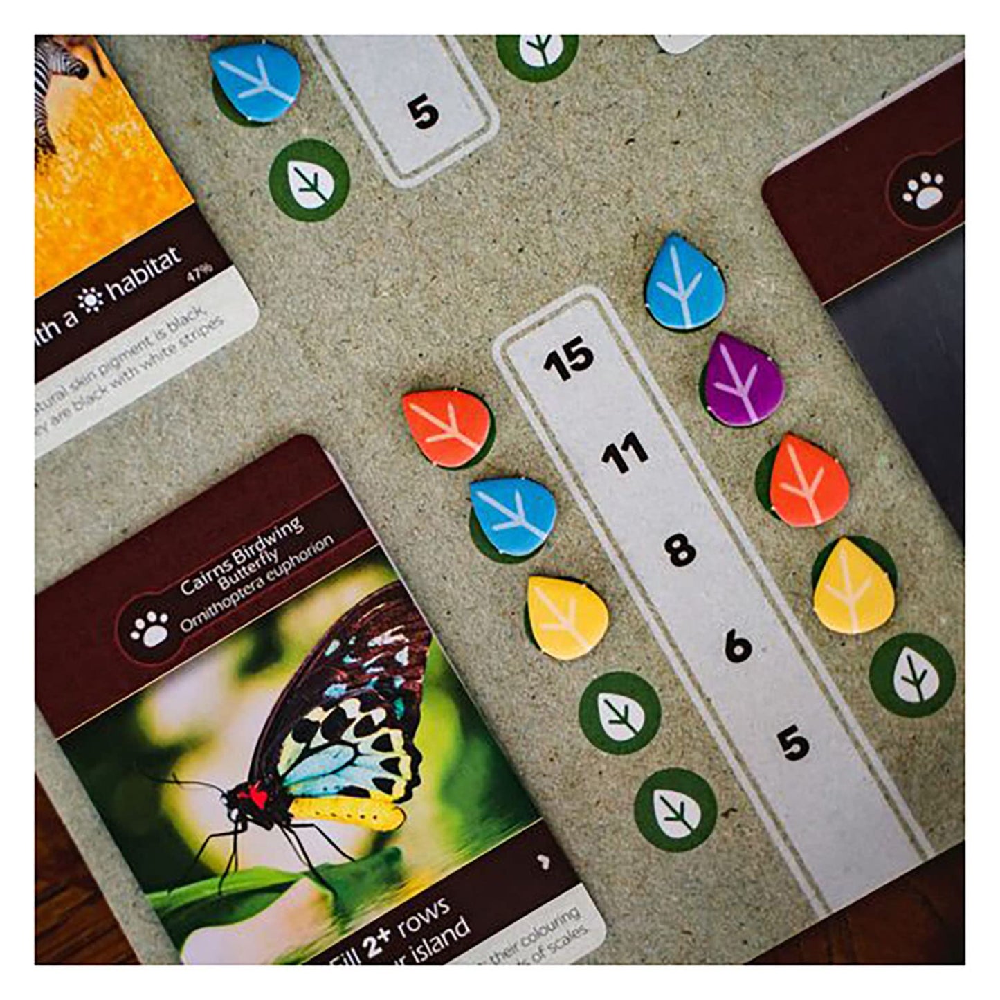 Inside Up Games Earth | Board Game of The Year 2023 | Ecosystem Building, Card Drafting, Action Selection | Create Amazing Natural Synergies | 1 to 6 Players | 45 to 90 Minute | Age 13+