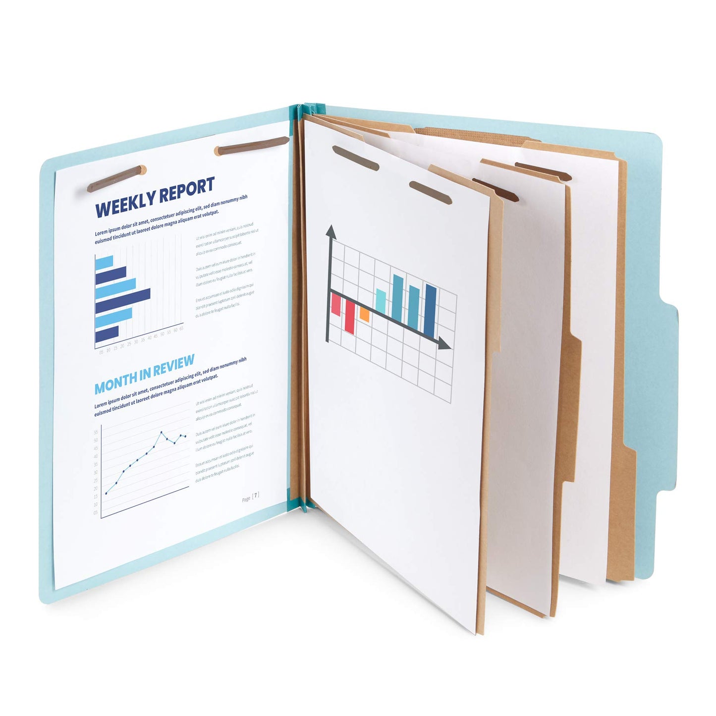 Blue Summit Supplies Light Blue Classification Folders, 3 Dividers, Letter Size with 2 Inch Expansions, 8 Section, 10 Pack