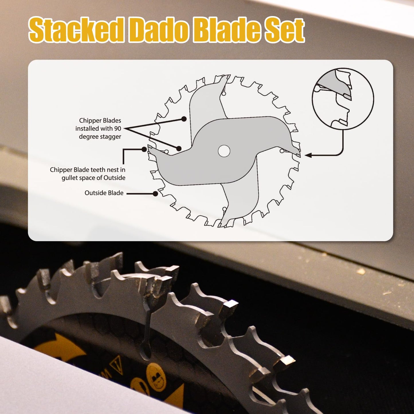 ANGELSWORD 8" Stacking Dado Blade Set for Fine Finished Dados, Grooves, and Rabbets, 5/8" Arbor, 15 Pieces