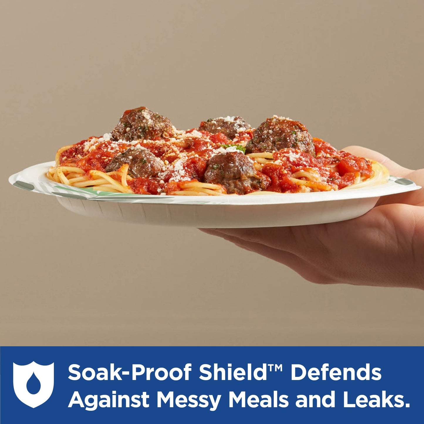 Dixie 8.5" Medium-Weight Paper Plates by GP PRO (Georgia-Pacific), Pathways, UX9WS, 500 Count (125 Plates Per Pack, 4 Packs Per Case)
