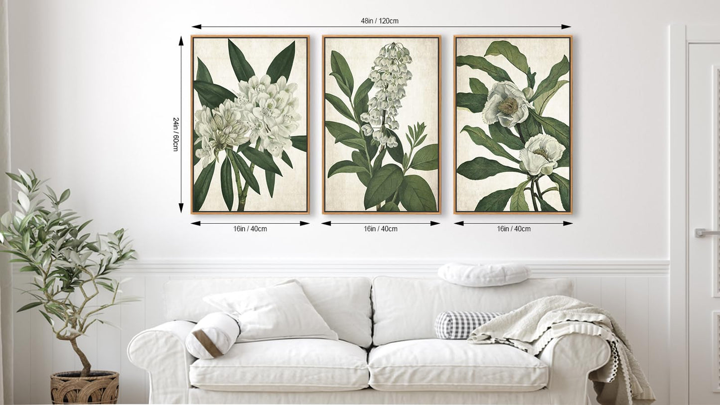 Large Framed Canvas Wall Art - Natural Float Framed White Flowers Green Leaves Pictures Decor Simple Botanical Plants Artwork for Living Room Bedroom Kitchen Home Office Decoration 48" X 24" Set of 3