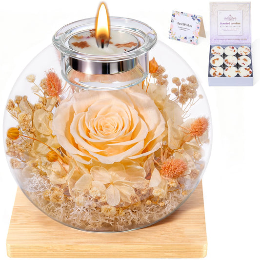 DEEMEI Gifts for Mom Birthday Gifts for Women Preserved Large Rose Flowers for Delivery Preserved Flowers Forever Eternal Rose in Glass Dome with Two Scented for Grandma Wife Daughter Sister Friends