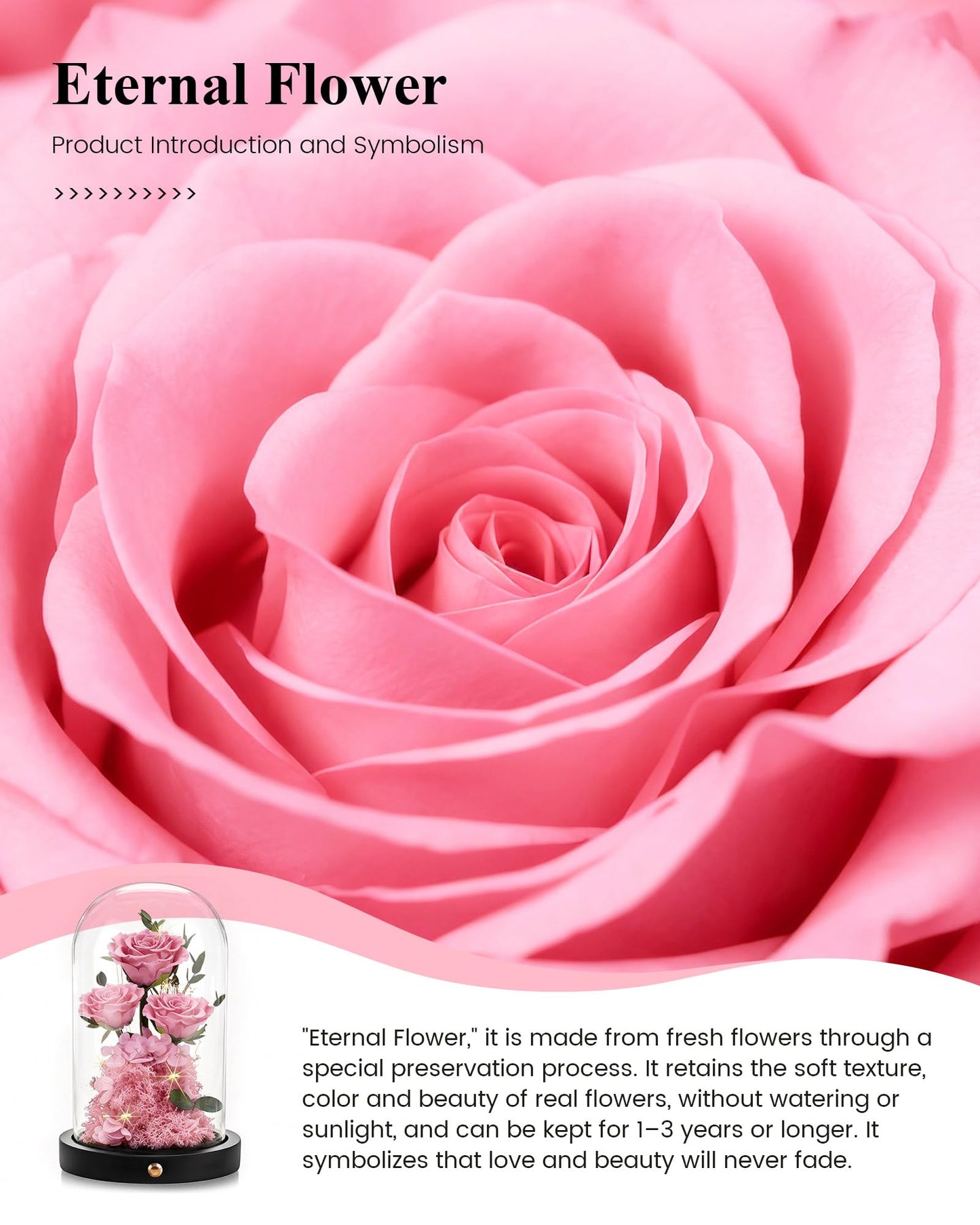Agrul Birthday Gifts for Women Forever Preserved Flowers Roses in Glass Dome for Women Mom Wife Girlfriend Daughter Birthday Gifts/Pink Rose