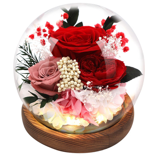Eyesofspring Preserved Flowers,Rose in Glass Dome with LED Light,Mother's Day Present, Gifts for Girls, Women, Mom,Grandma,Girlfriend, Wife- Style1