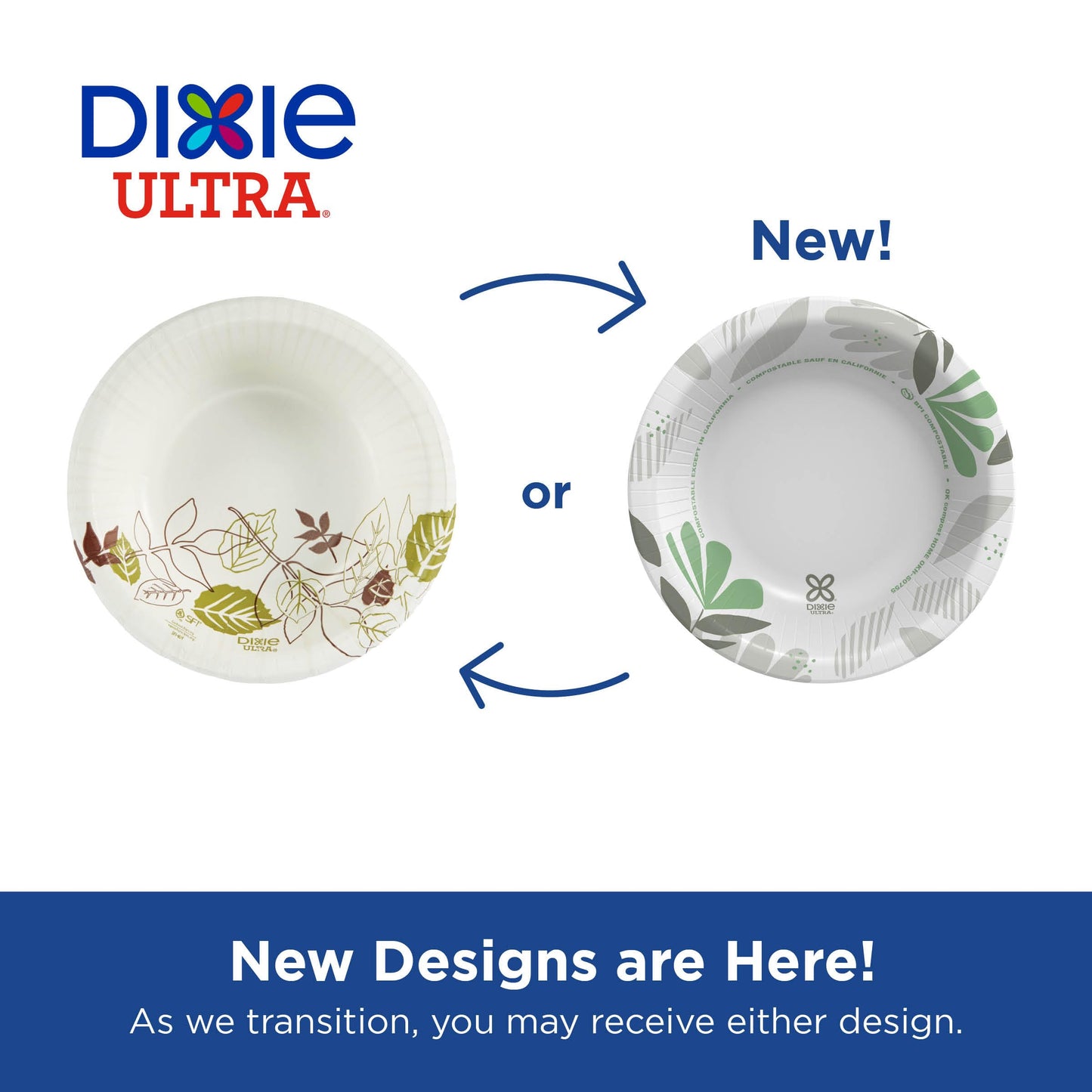 Dixie Ultra 20 oz Heavy-Weight Paper Bowls, Pathways, 500 Count, Bulk Case, 4 Packs/125 Count Per Pack, (Georgia-Pacific #SX20PATH)